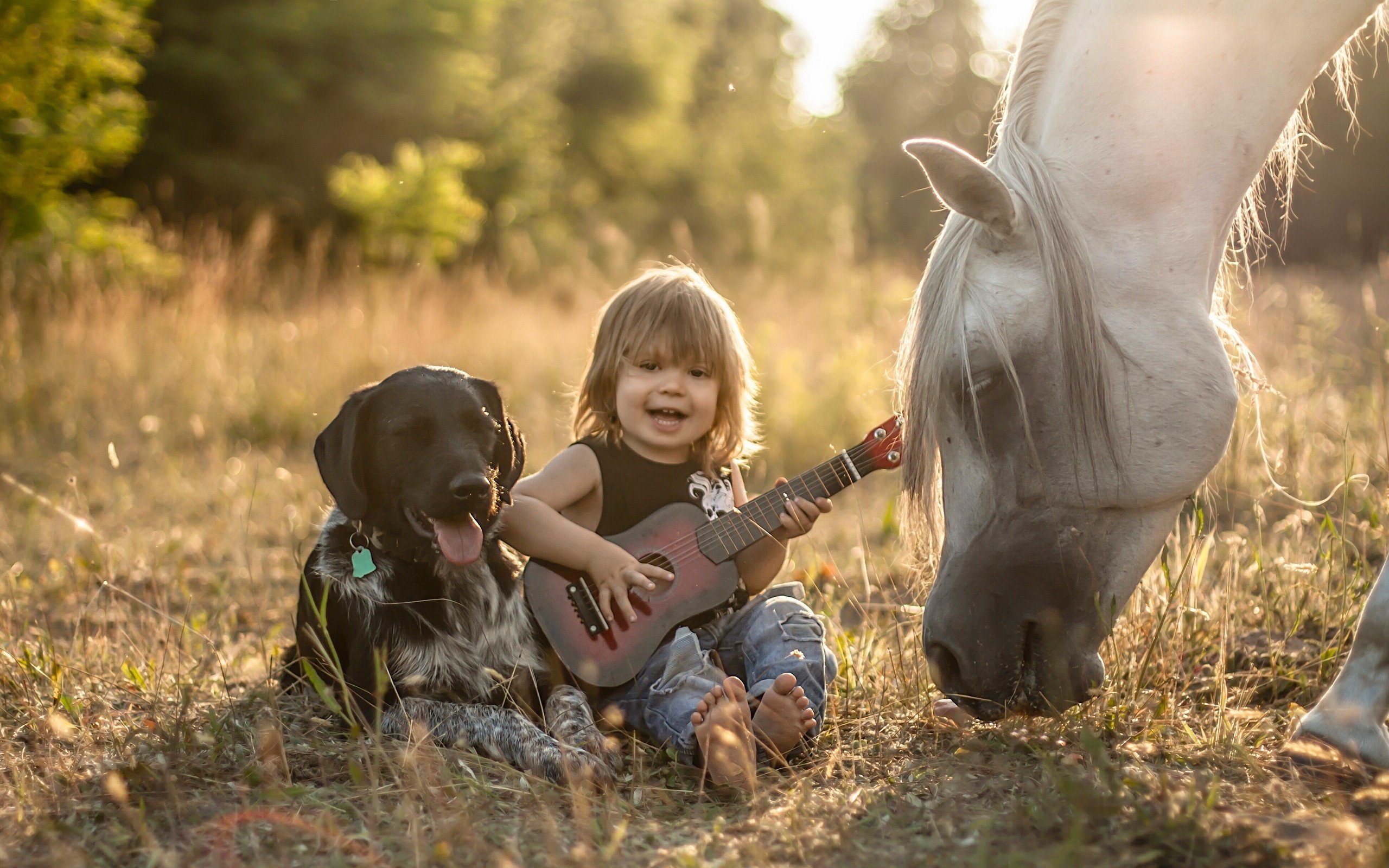 Child playing guitar with dog and horse HD Wallpaper