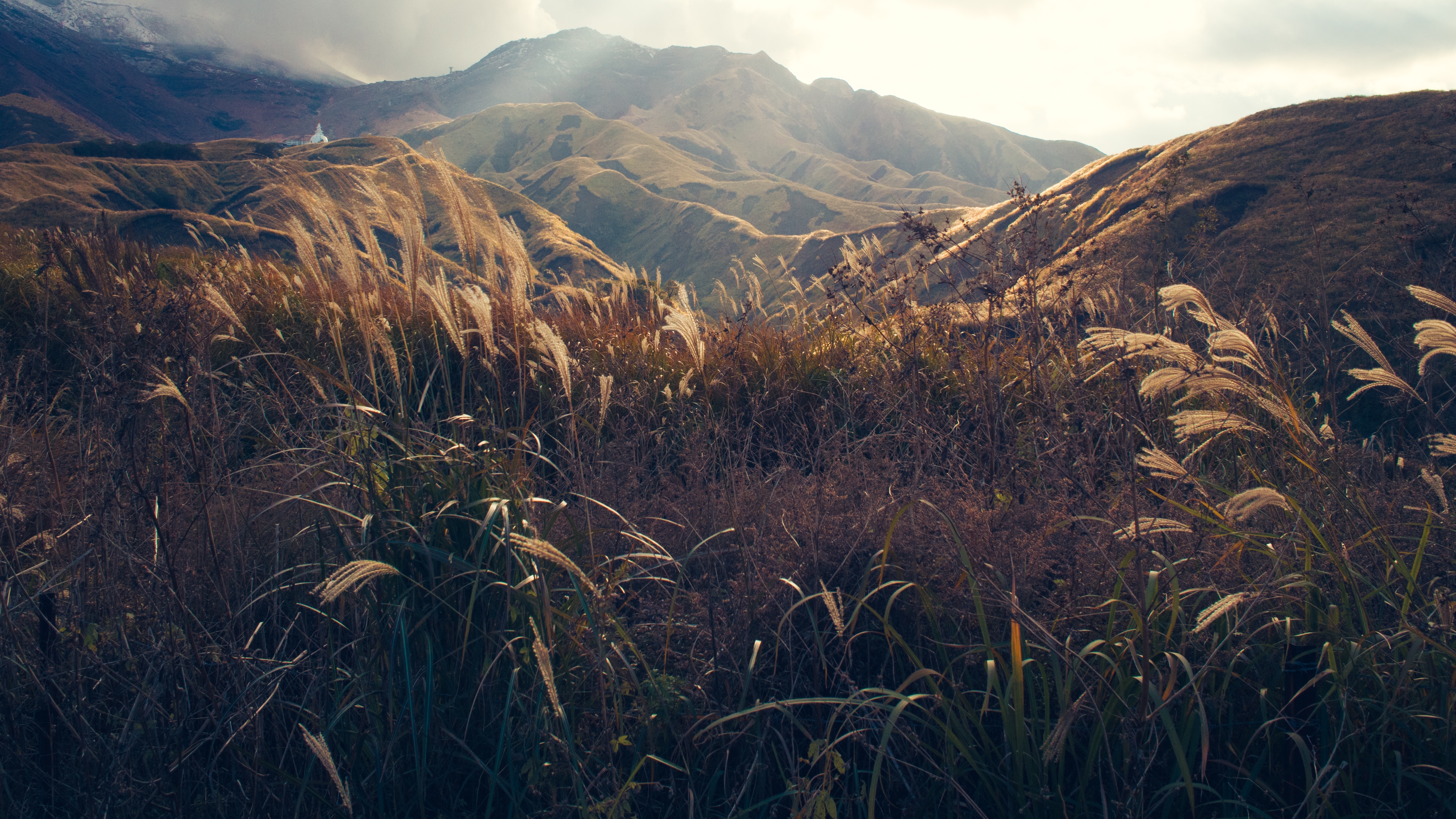 Golden grass in a mountain valley in Japan HD Wallpaper