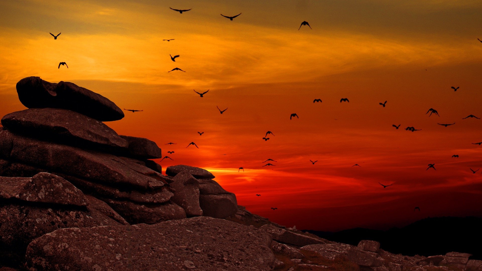 Birds flying over rocks at sunset HD Wallpaper
