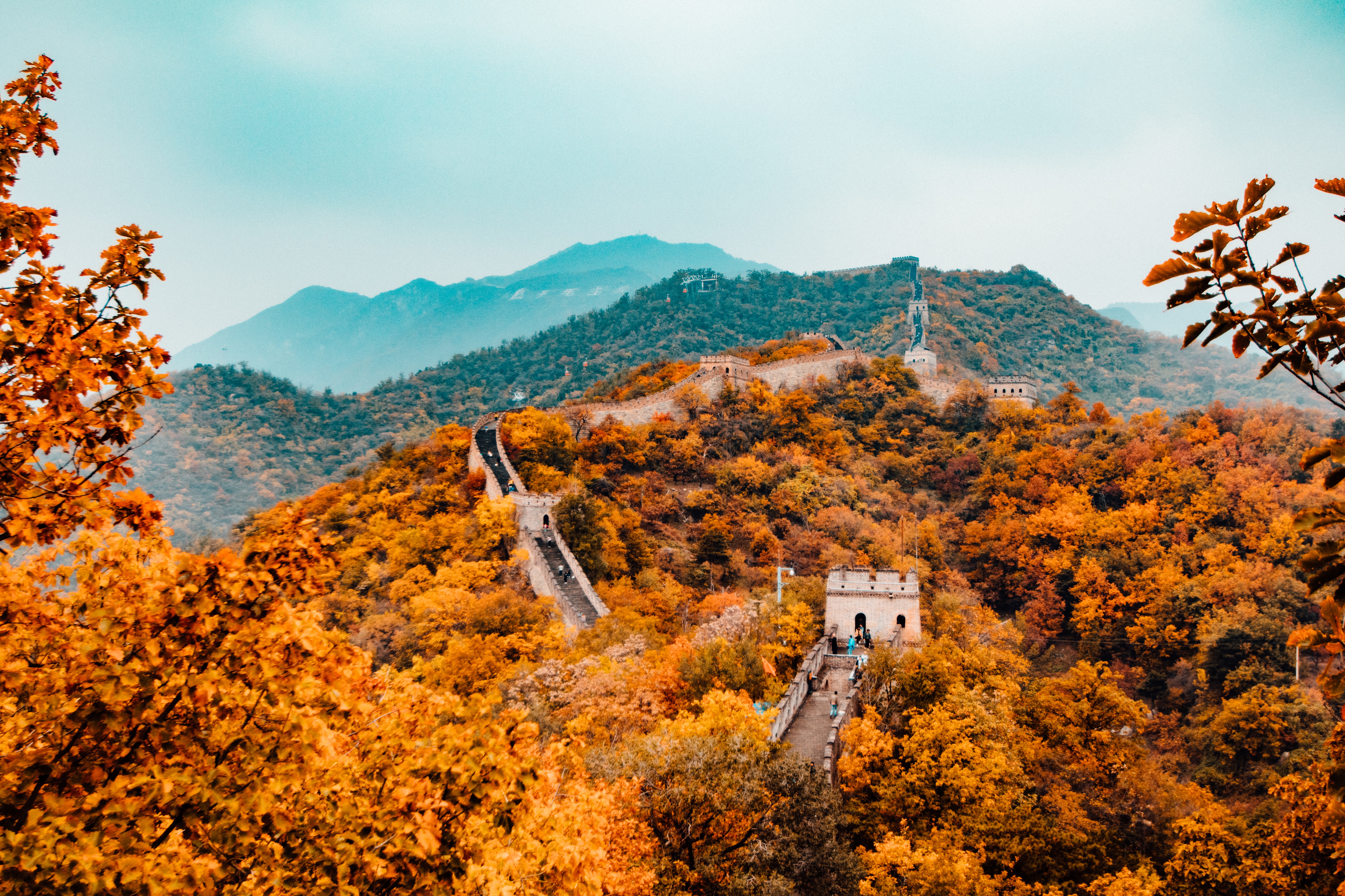 Great Wall of China in Autumn HD Wallpaper