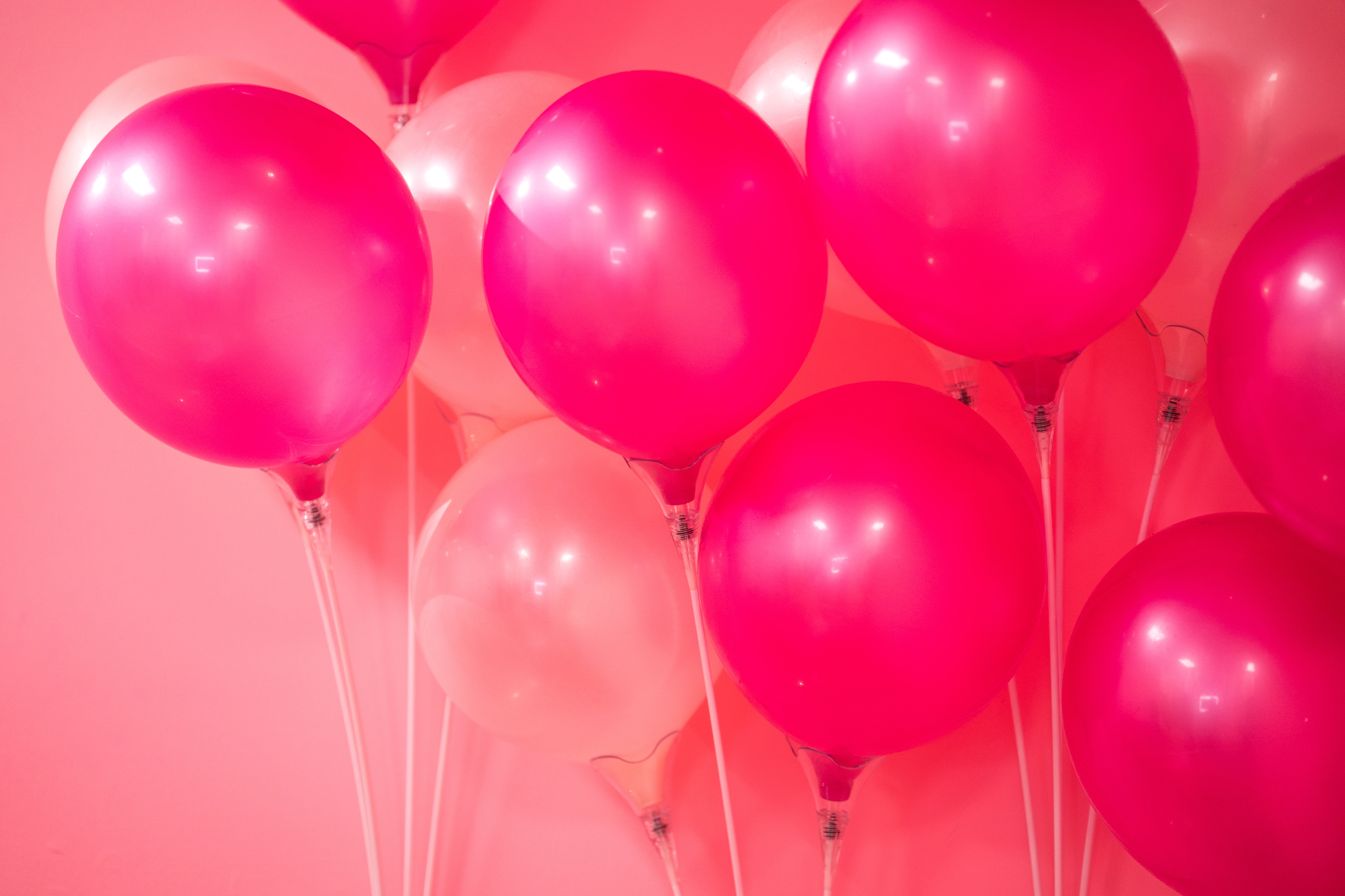 Pink and fuchsia balloons for a celebration HD Wallpaper