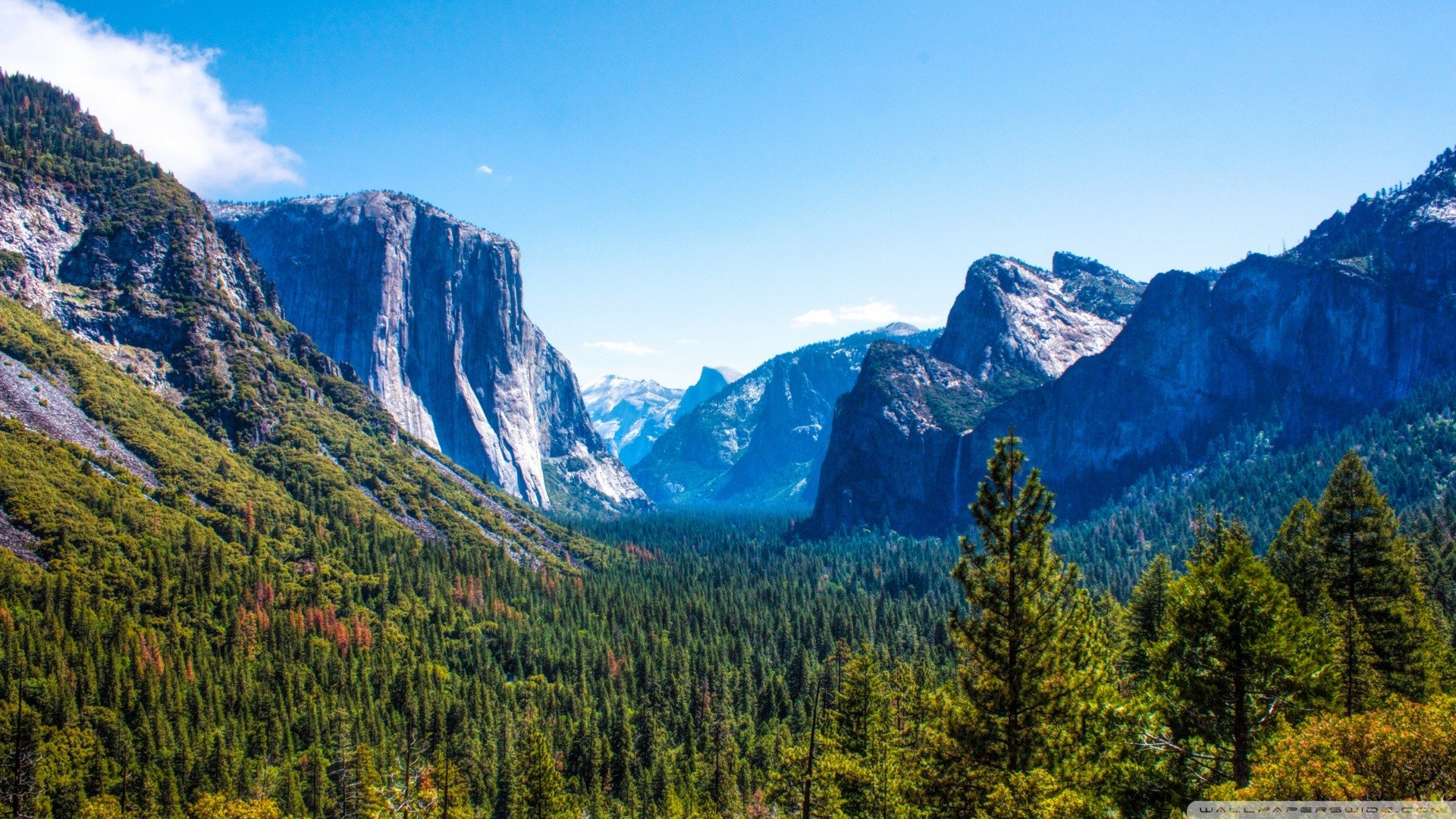 Yosemite Valley mountains and forest landscape HD Wallpaper