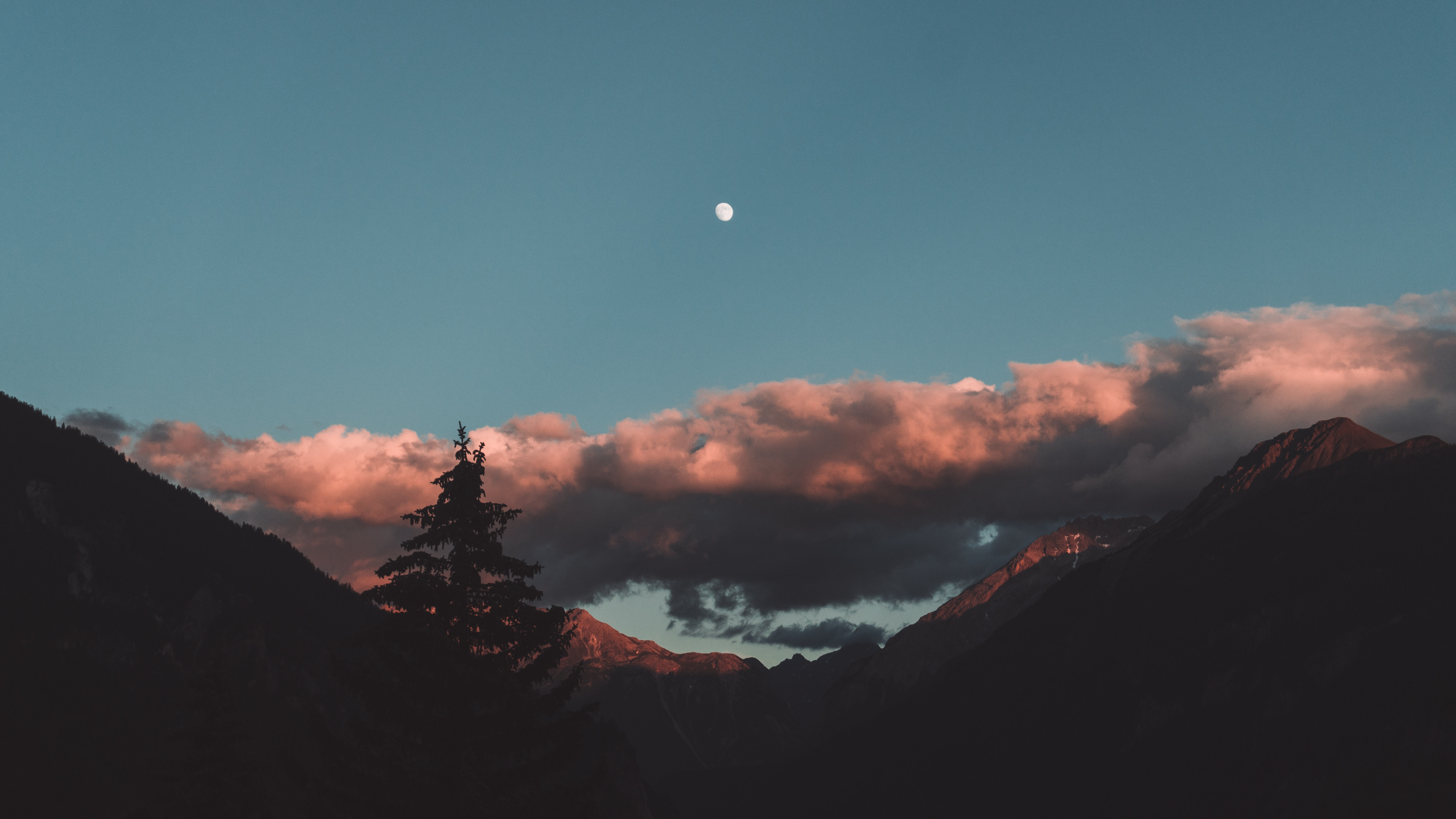 Moonlit Mountain Ridge with Pink Clouds and Tree HD Wallpaper