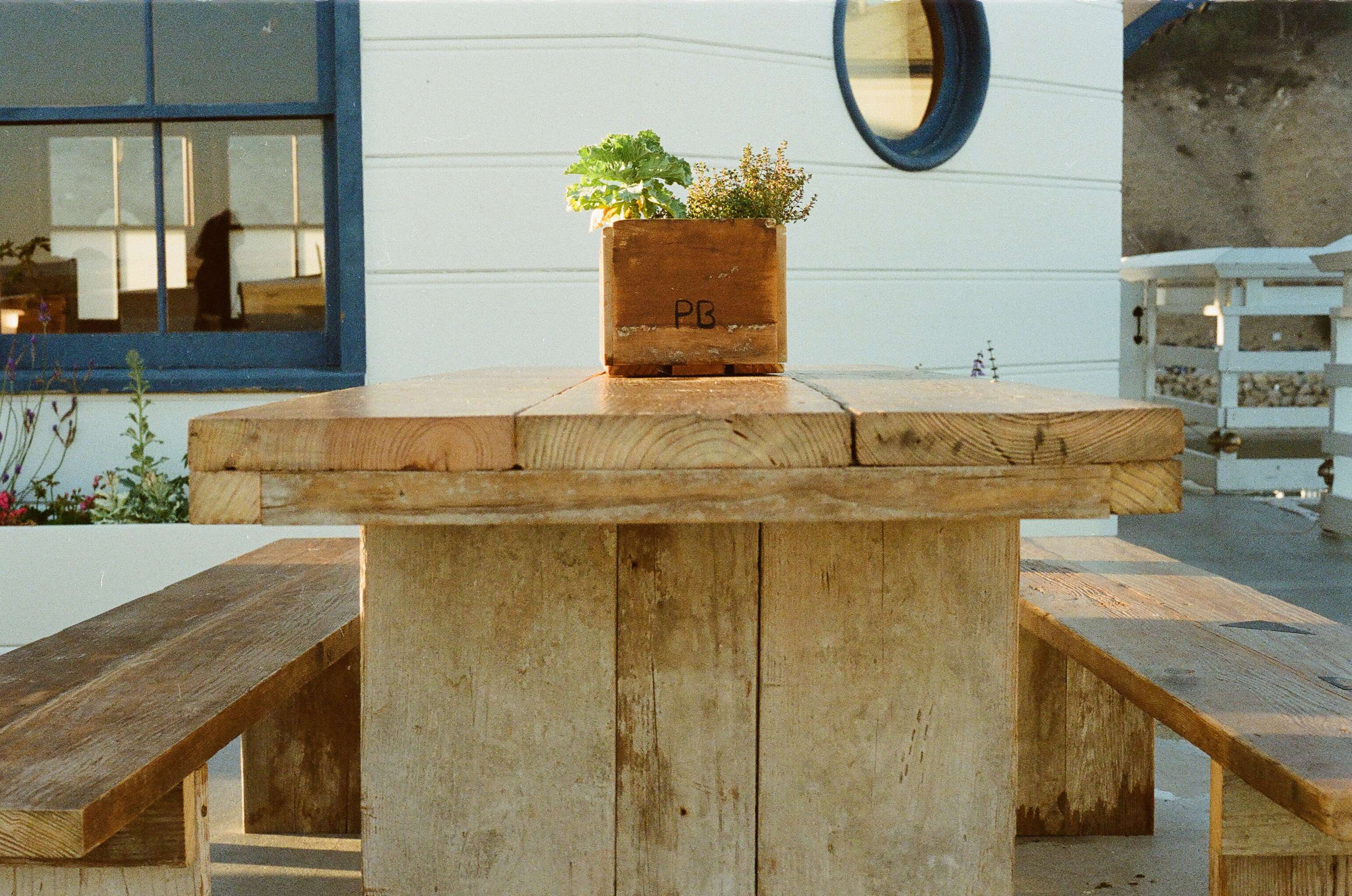 Wooden picnic table and benches with potted plants HD Wallpaper