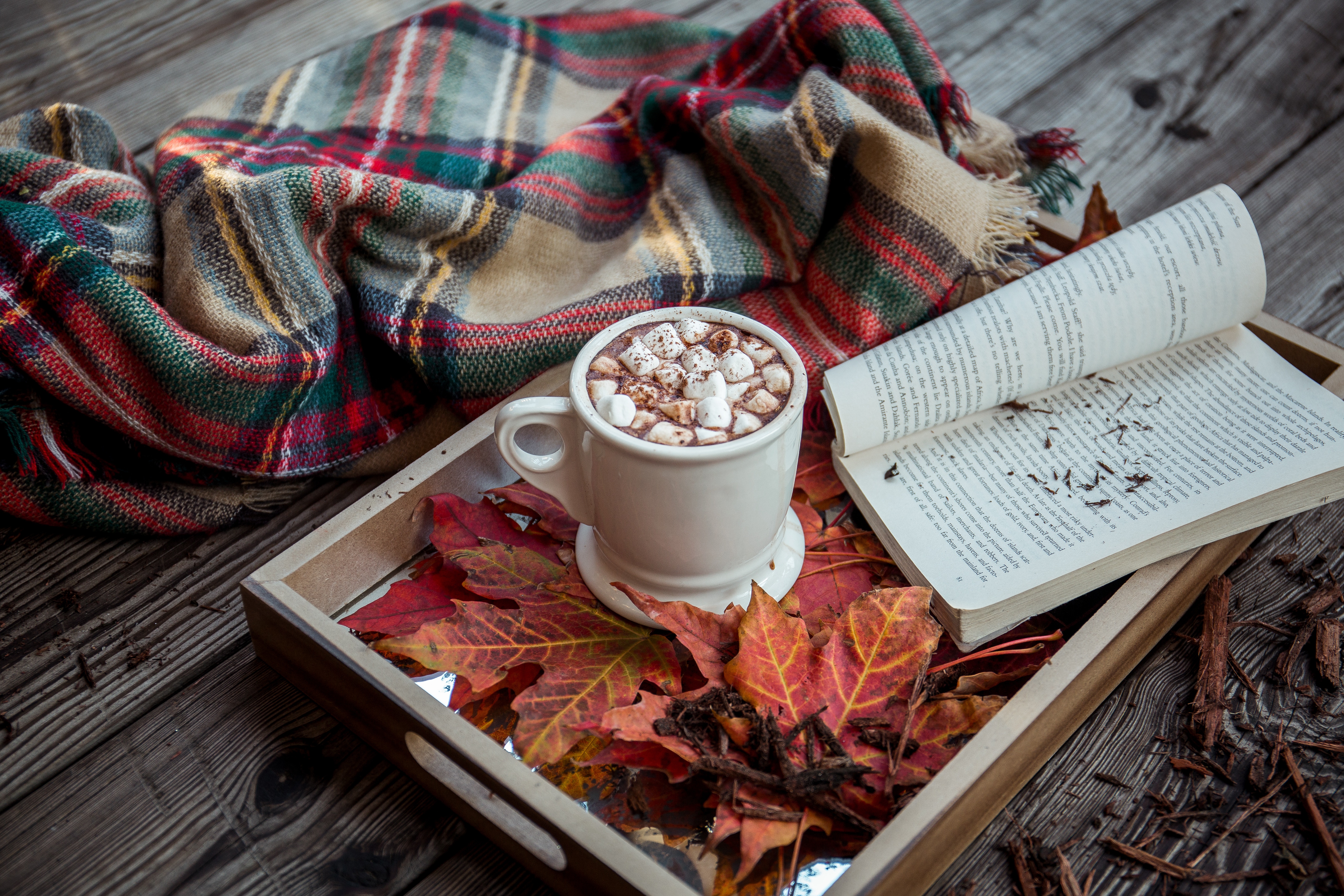 Cozy Autumn Scene with Hot Chocolate and Book HD Wallpaper