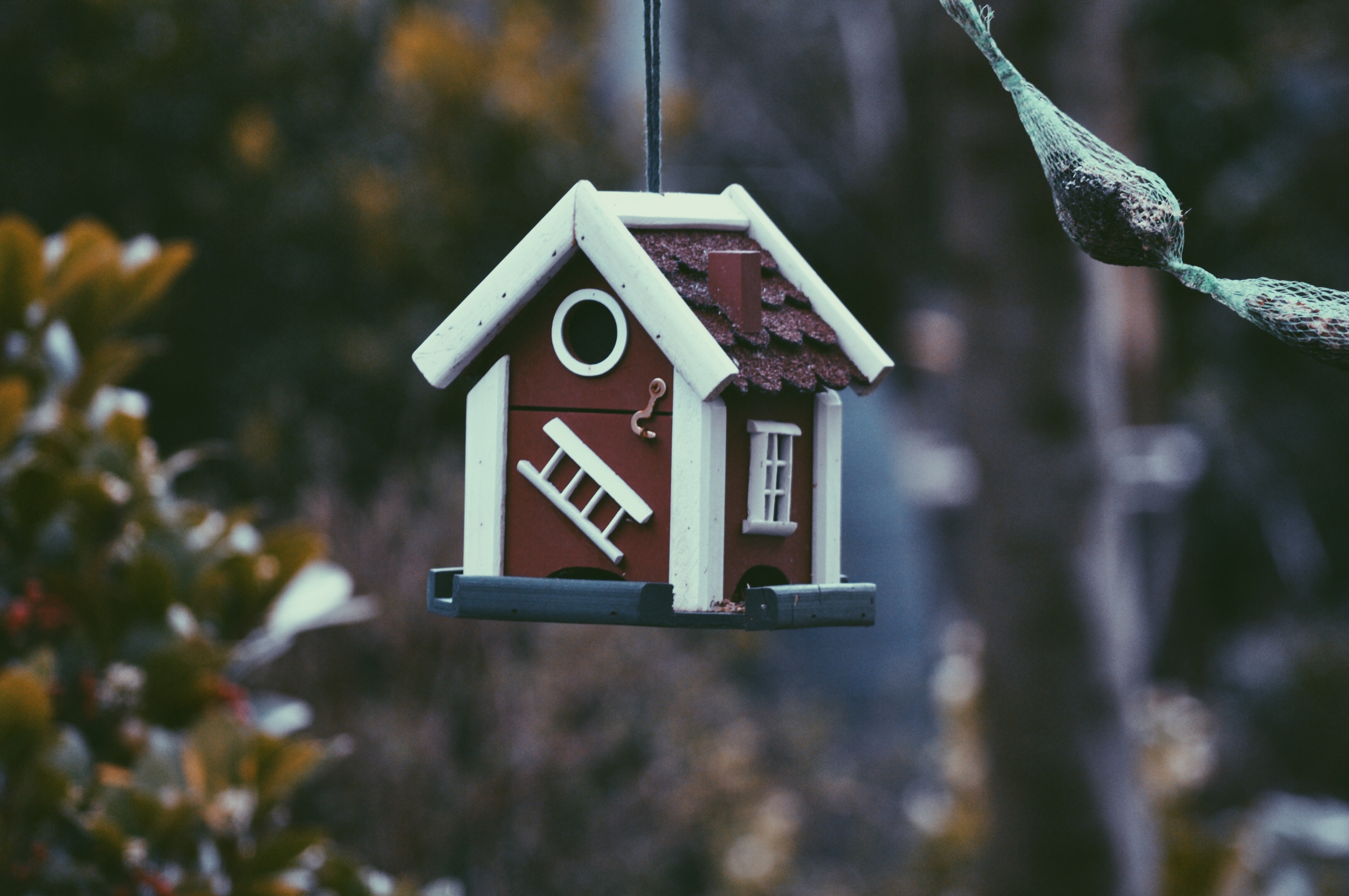 A hanging birdhouse with a ladder and window HD Wallpaper