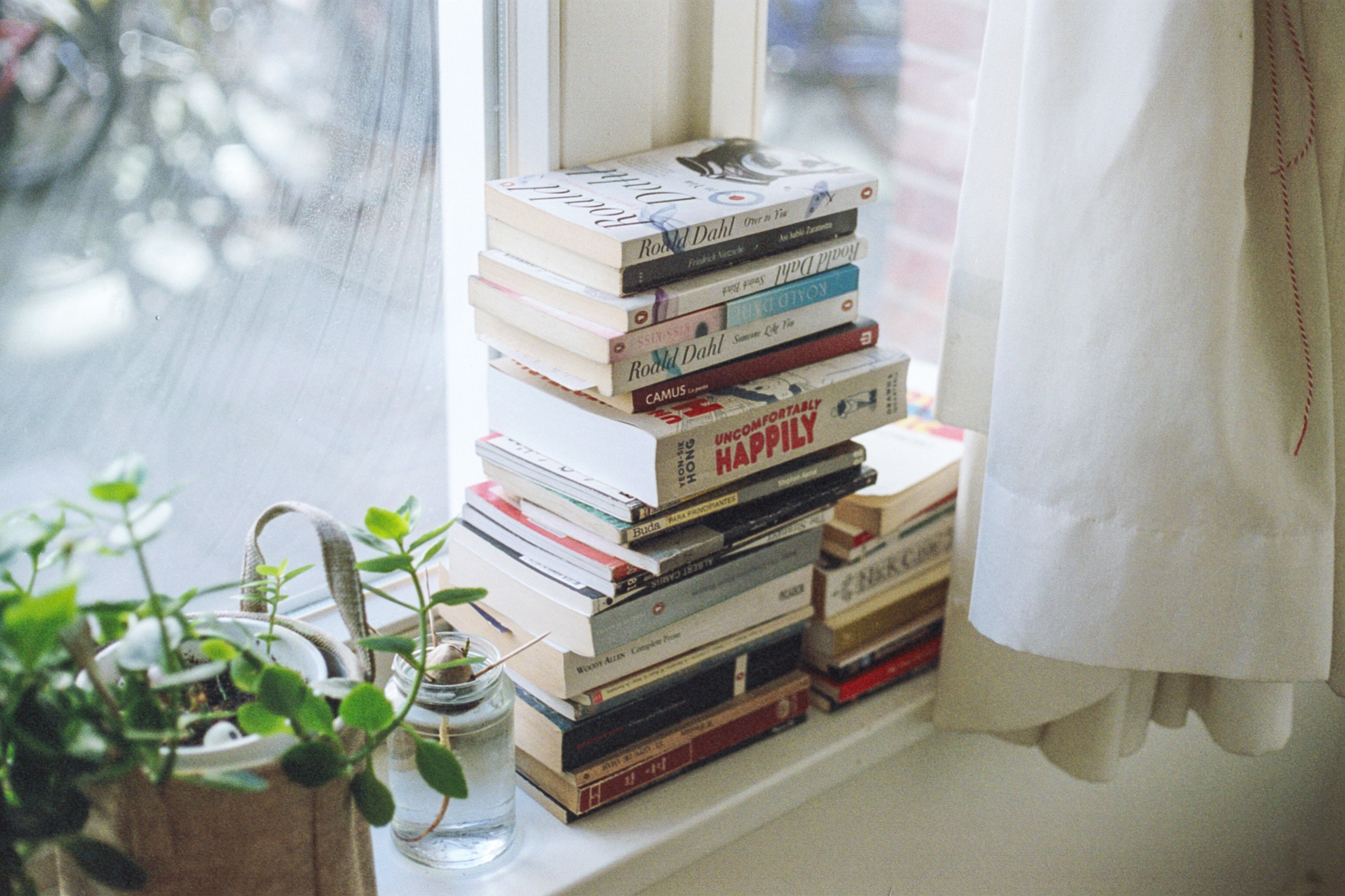 Stack of books on a windowsill with a plant HD Wallpaper