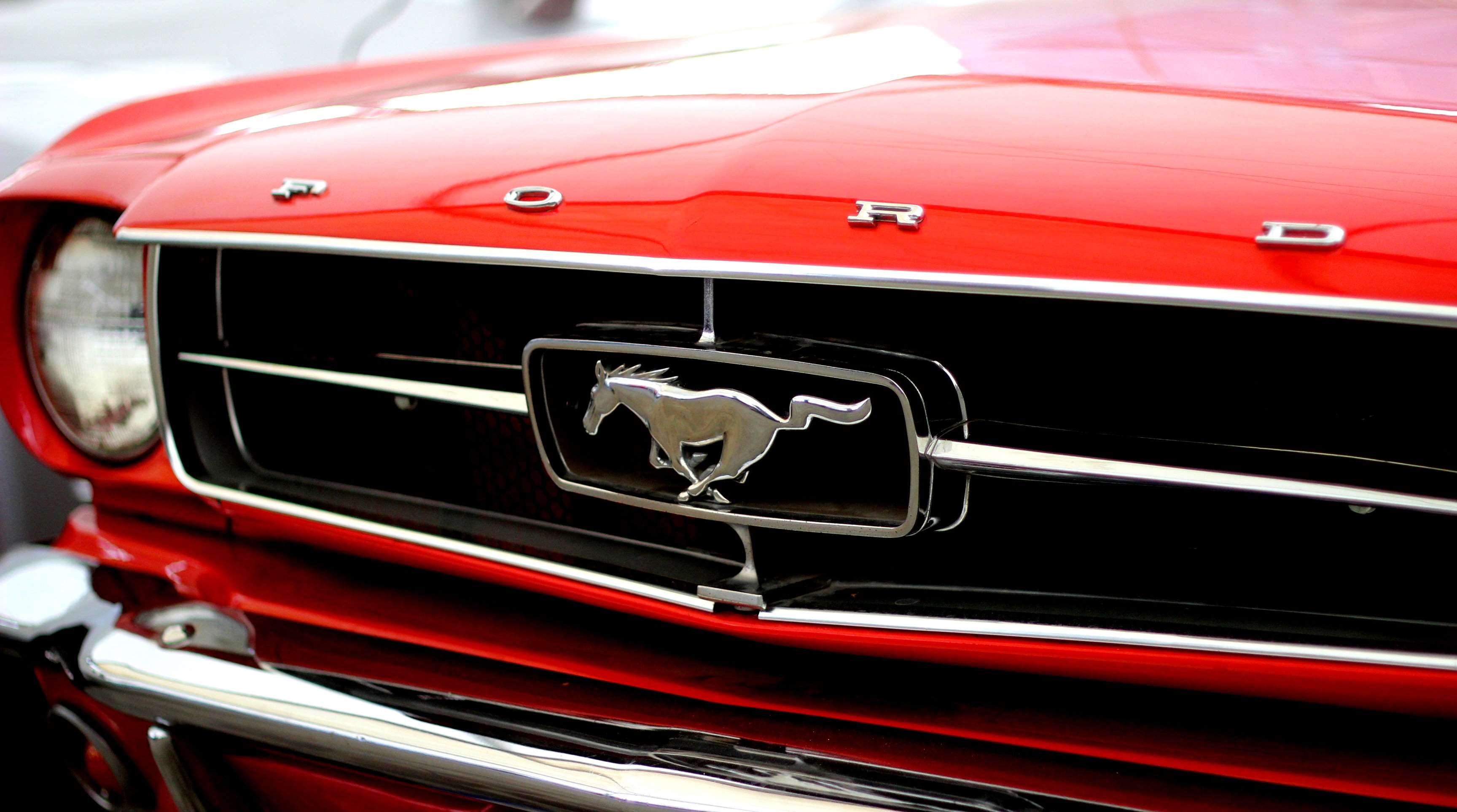 Red Ford Mustang with Running Horse Emblem HD Wallpaper