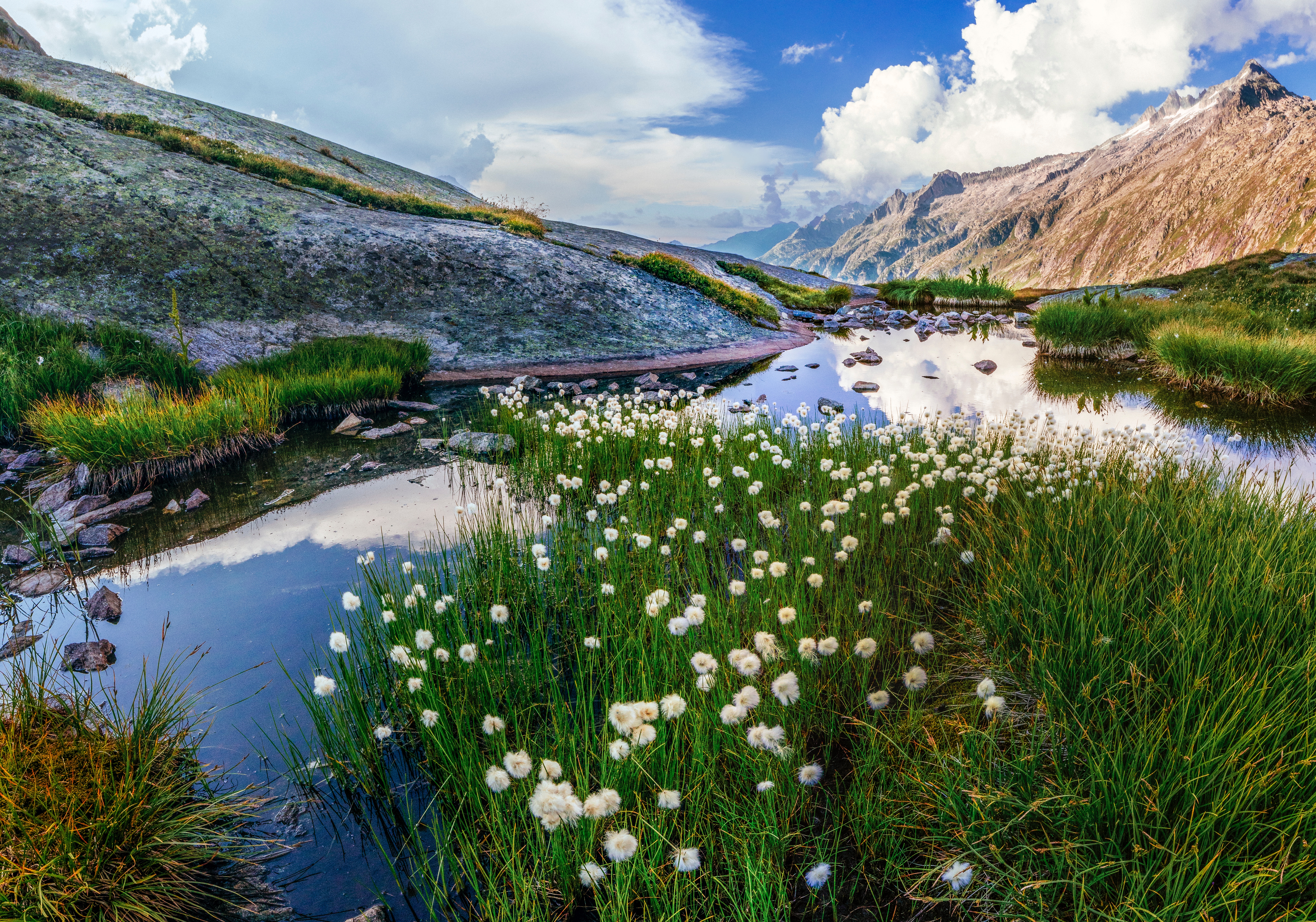 Mountain lake with cotton grass and rocky slopes in Switzerland HD Wallpaper