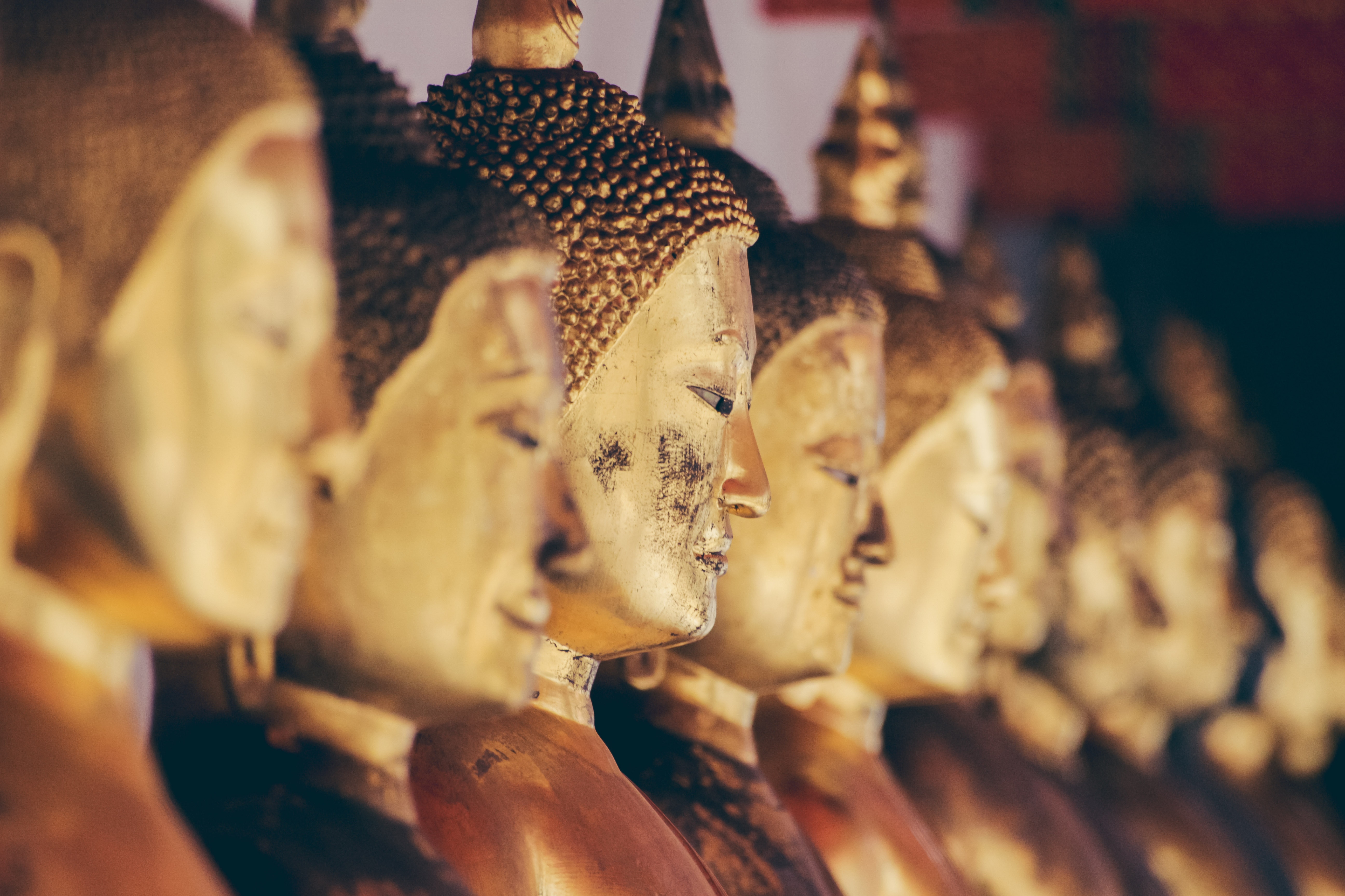 Row of golden Buddha statues in a temple HD Wallpaper