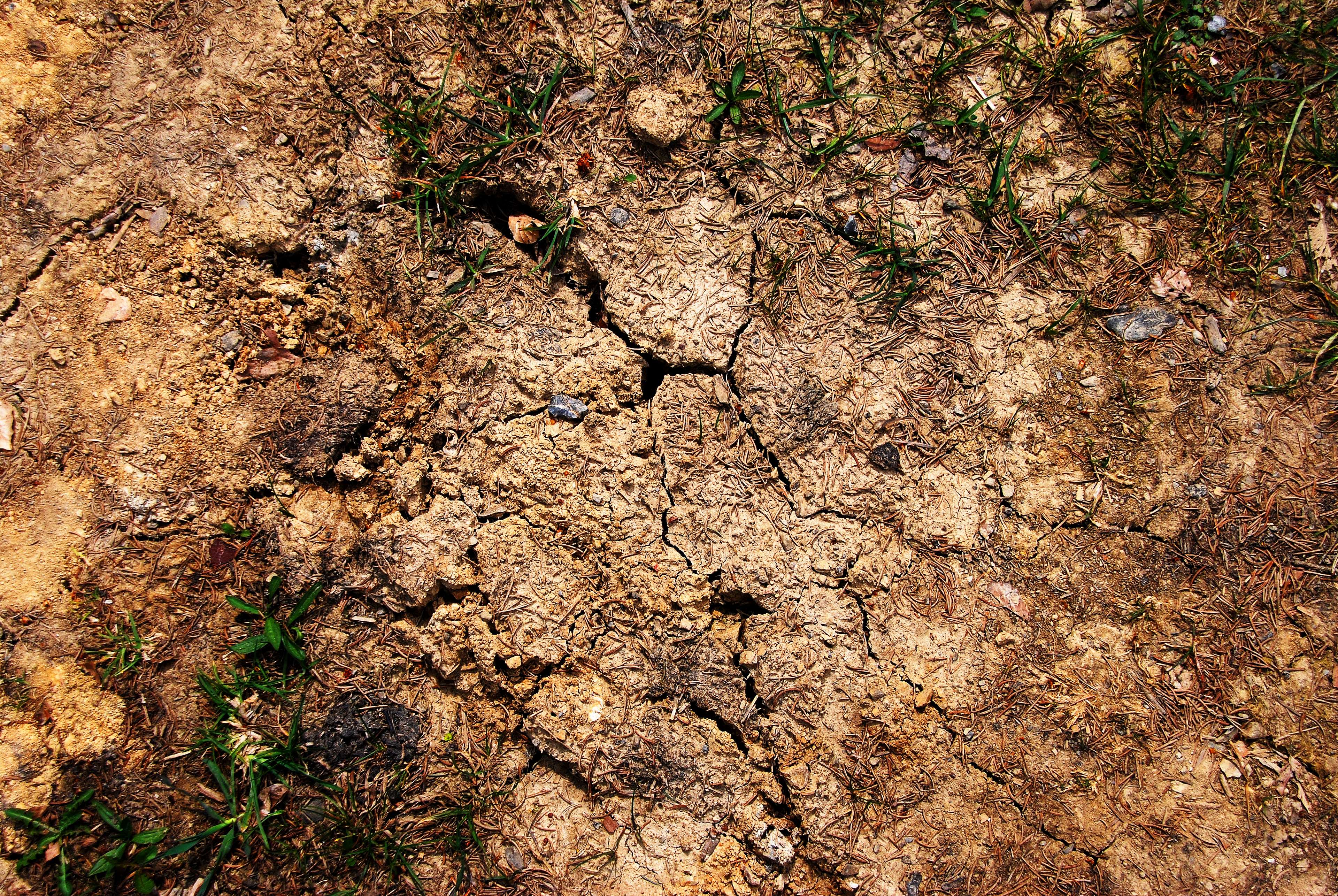 Cracked Earth Ground 4K HD Wallpaper