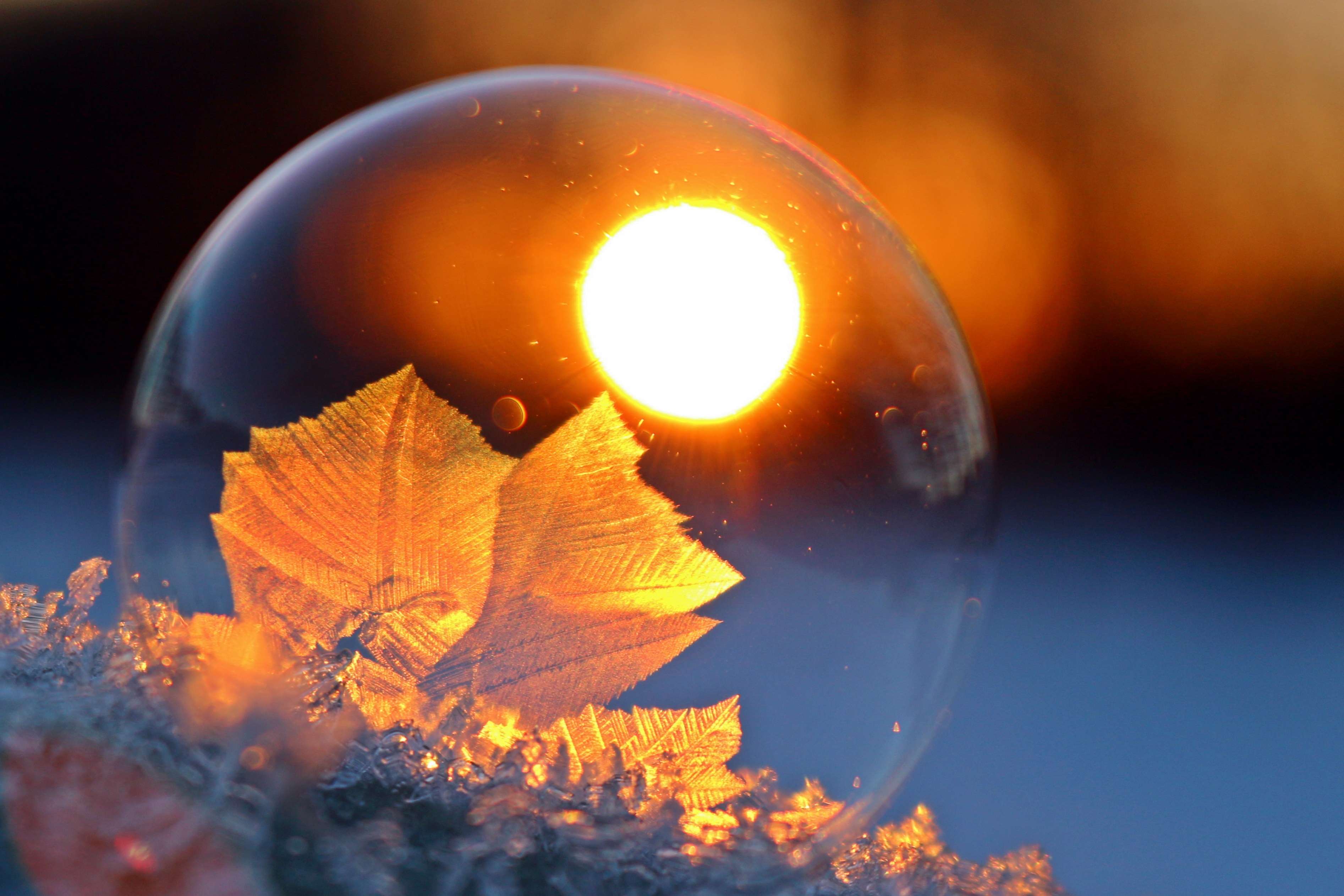 Frozen bubble with ice crystals and sunset reflection HD Wallpaper