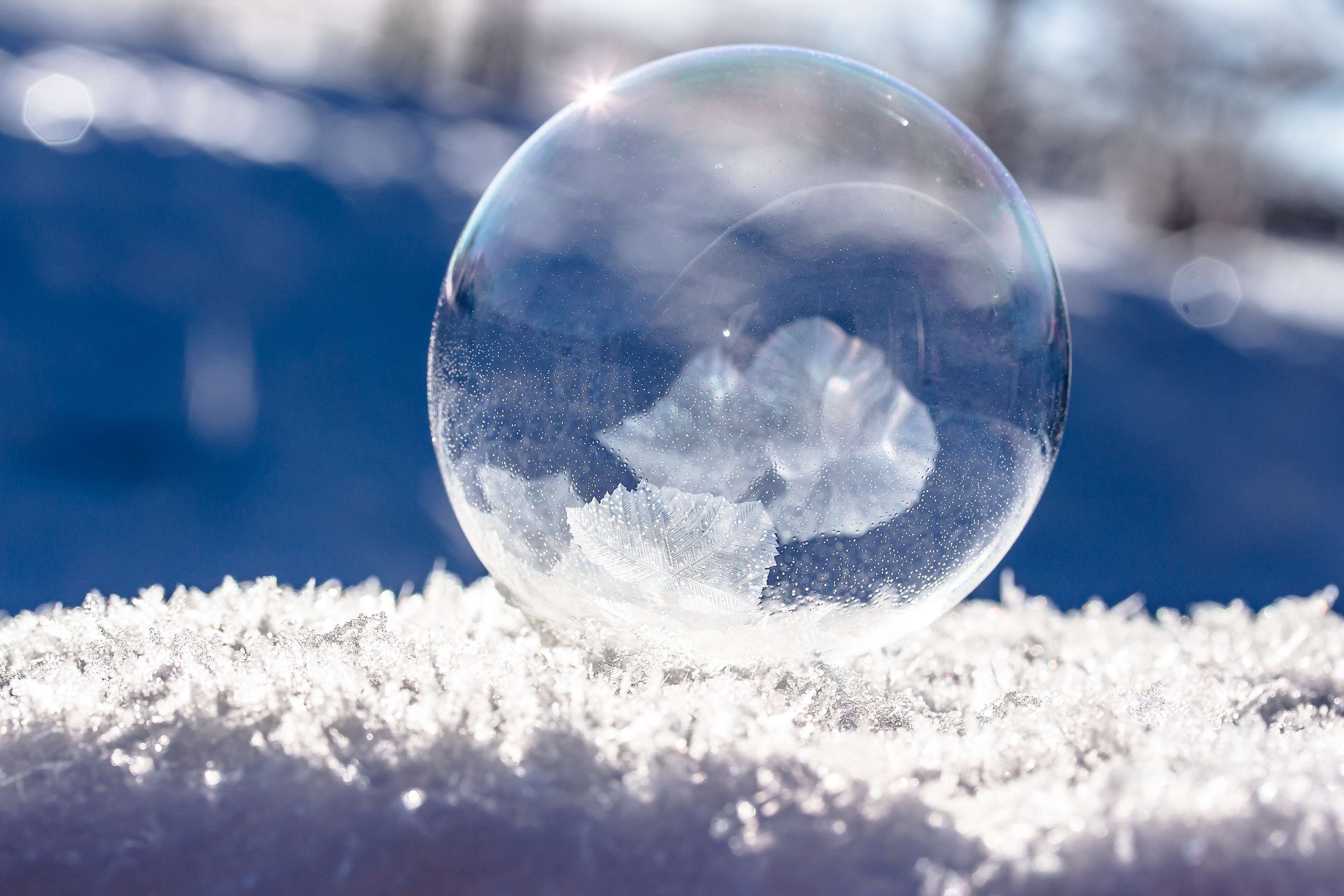 Frozen bubble with ice crystals on snow HD Wallpaper