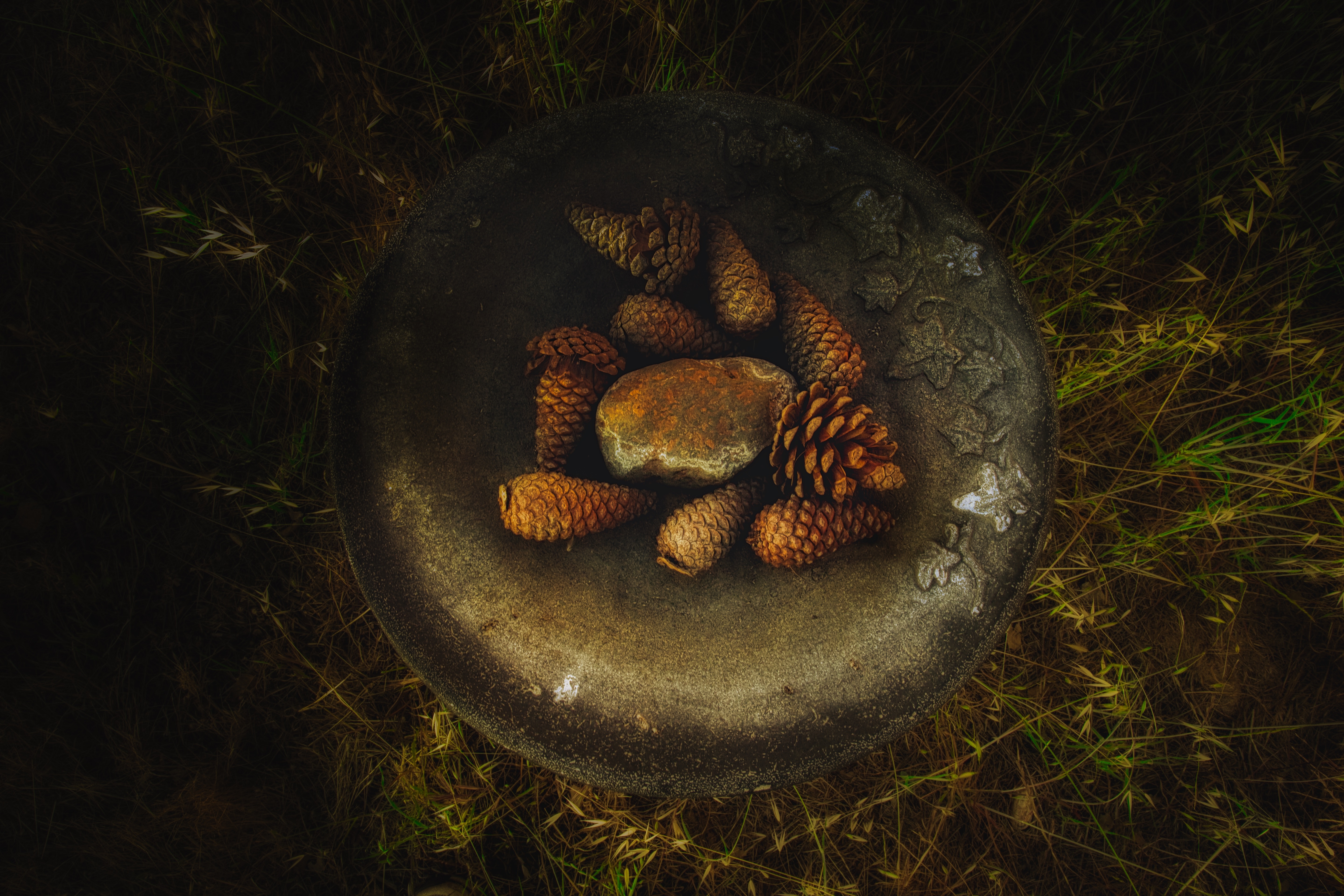 Pine cones and a rock in a birdbath HD Wallpaper
