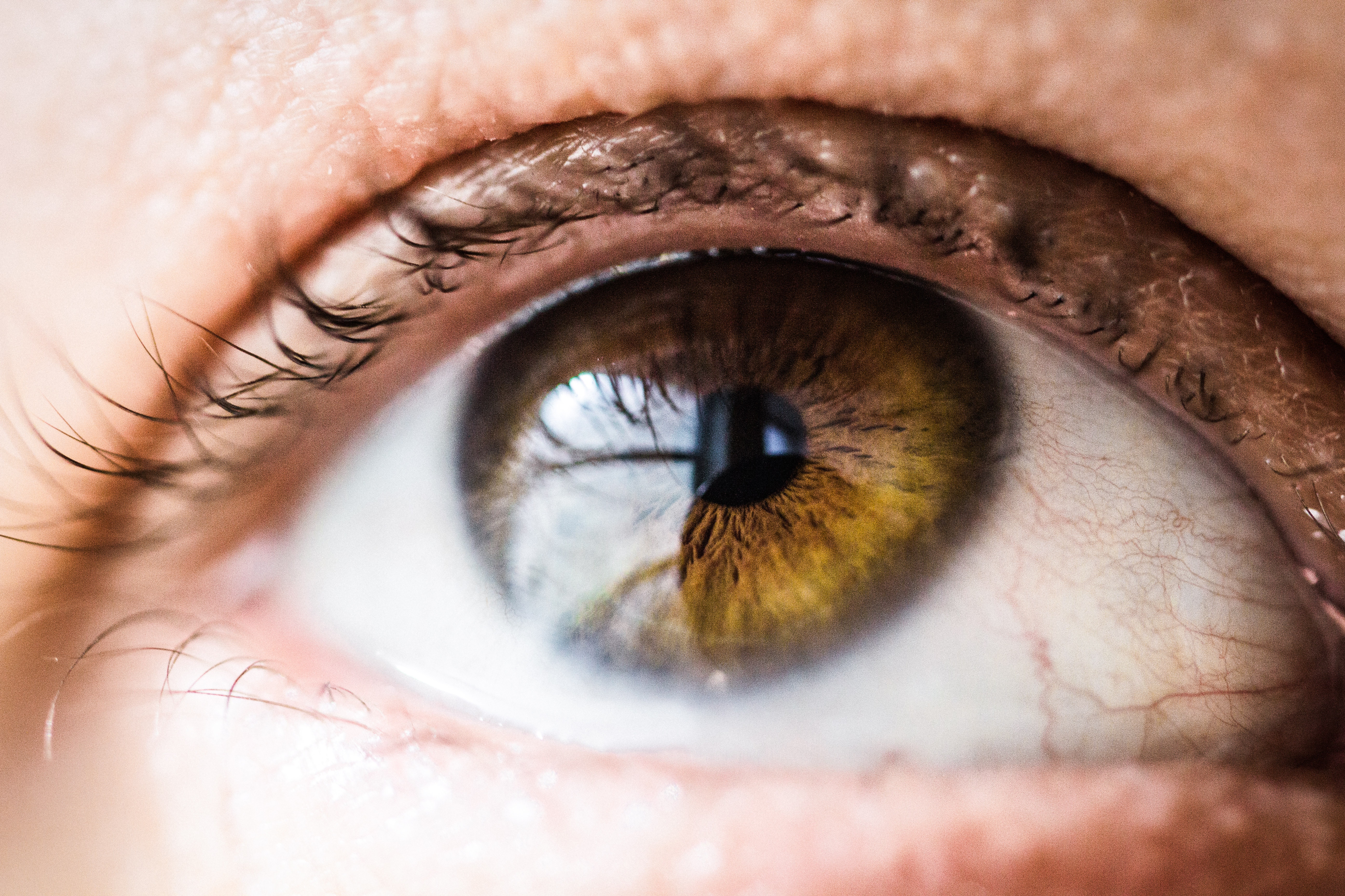 Macro shot of a brown human eye with visible iris and pupil HD Wallpaper