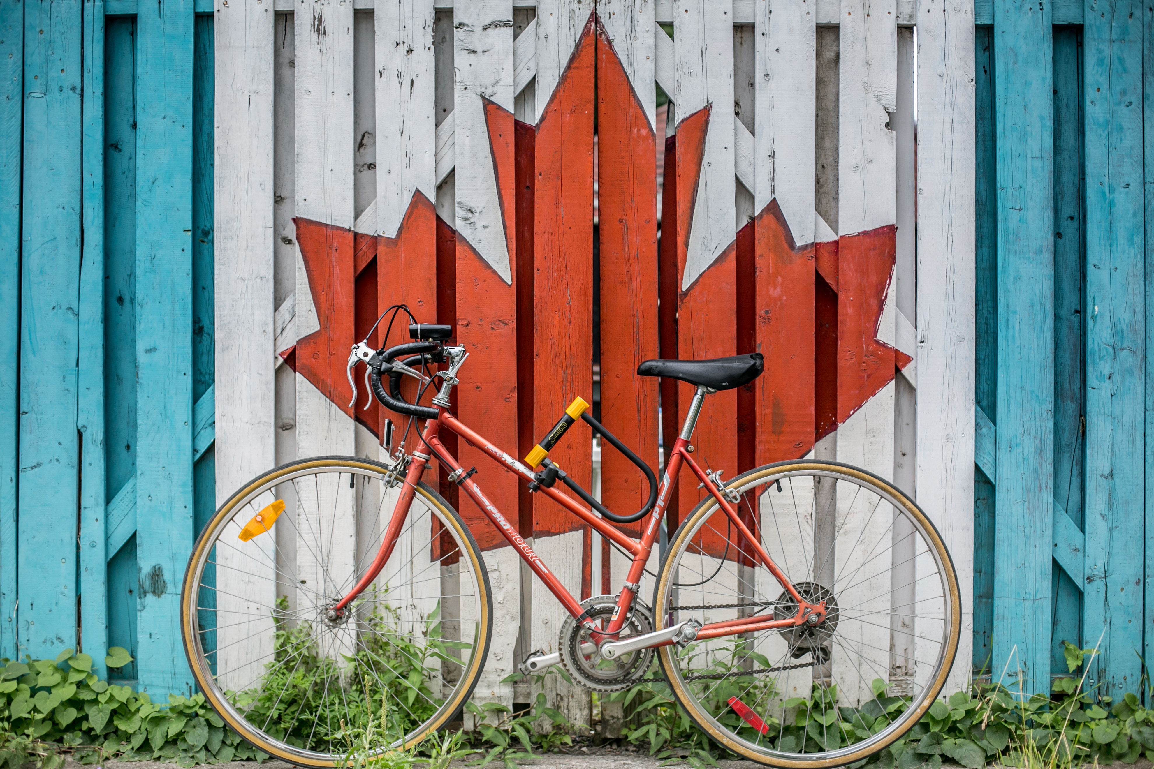 Red bicycle locked against a Canadian flag fence HD Wallpaper