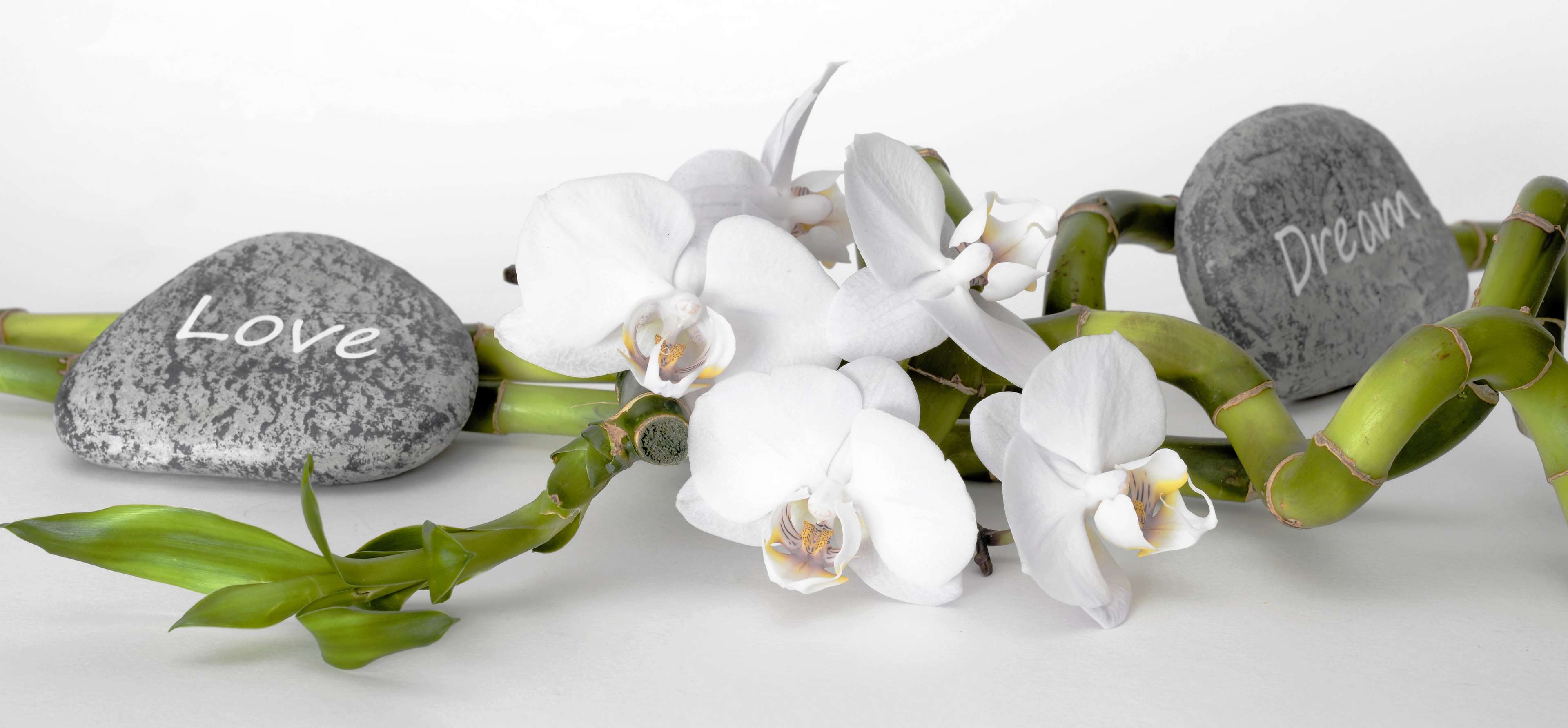 Lucky Bamboo with Orchids and Stones 'Love' and 'Dream' HD Wallpaper