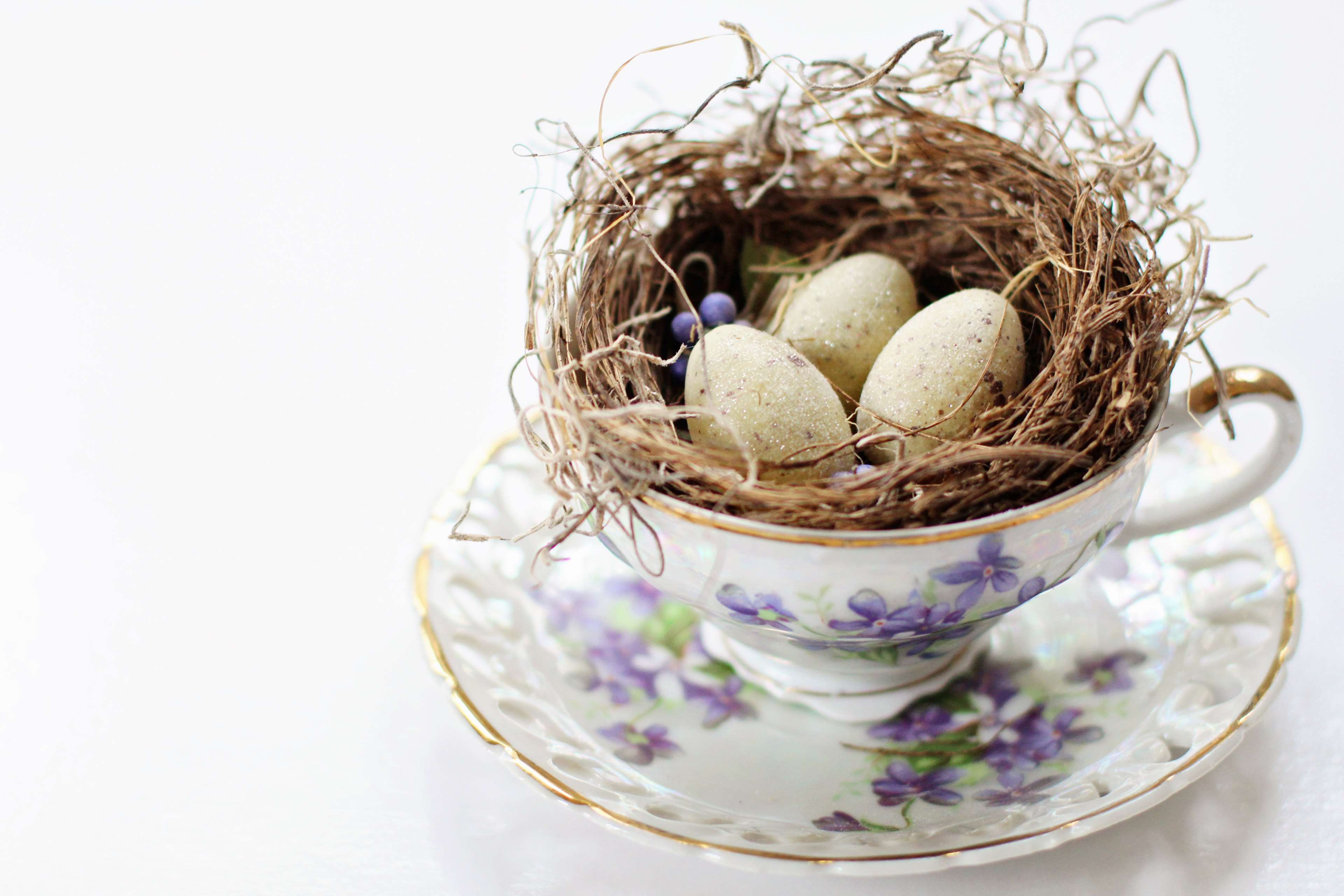 Easter Nest with Eggs in a Teacup HD Wallpaper