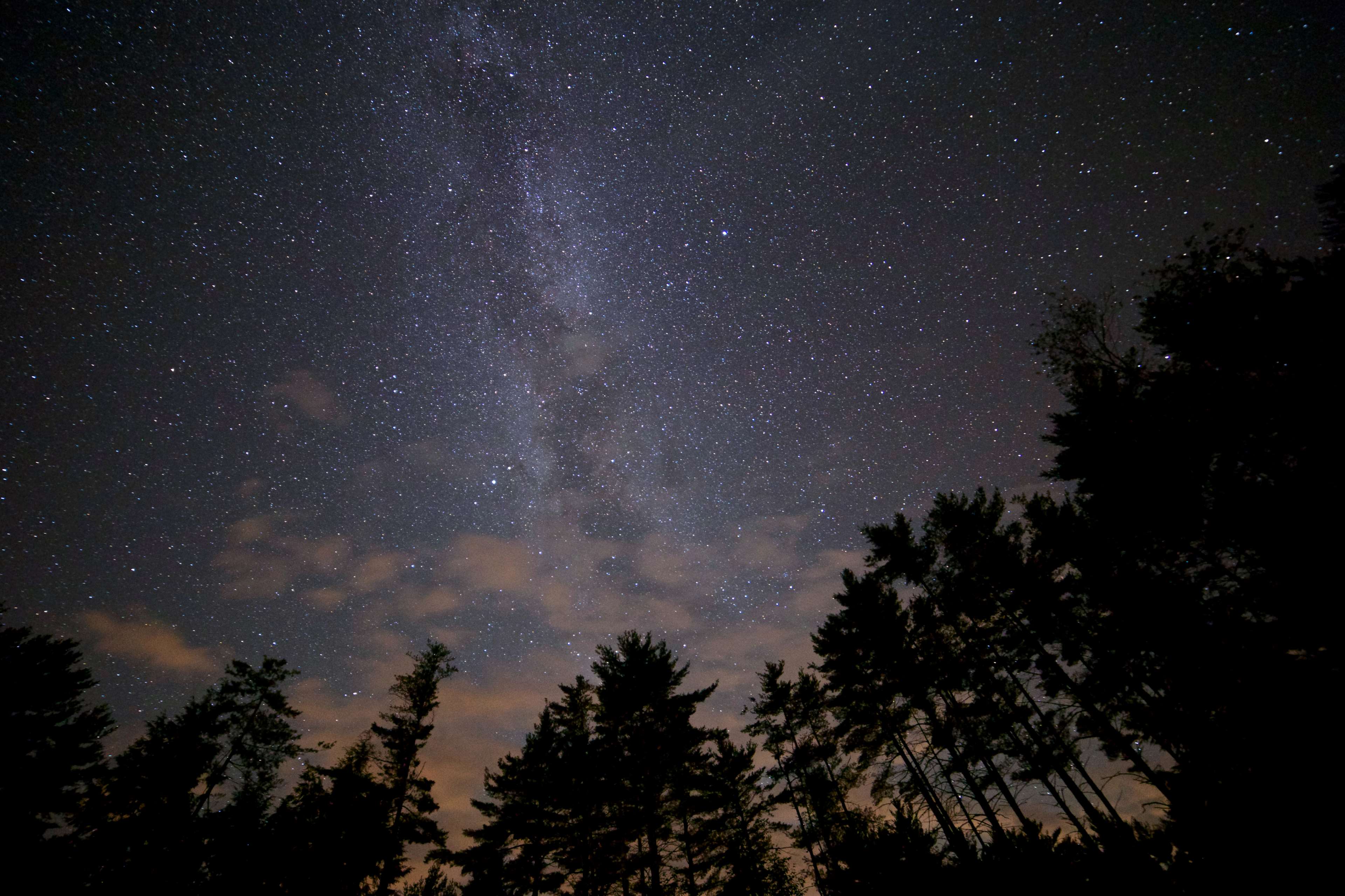 Milky Way Galaxy over Silhouetted Forest at Night HD Wallpaper