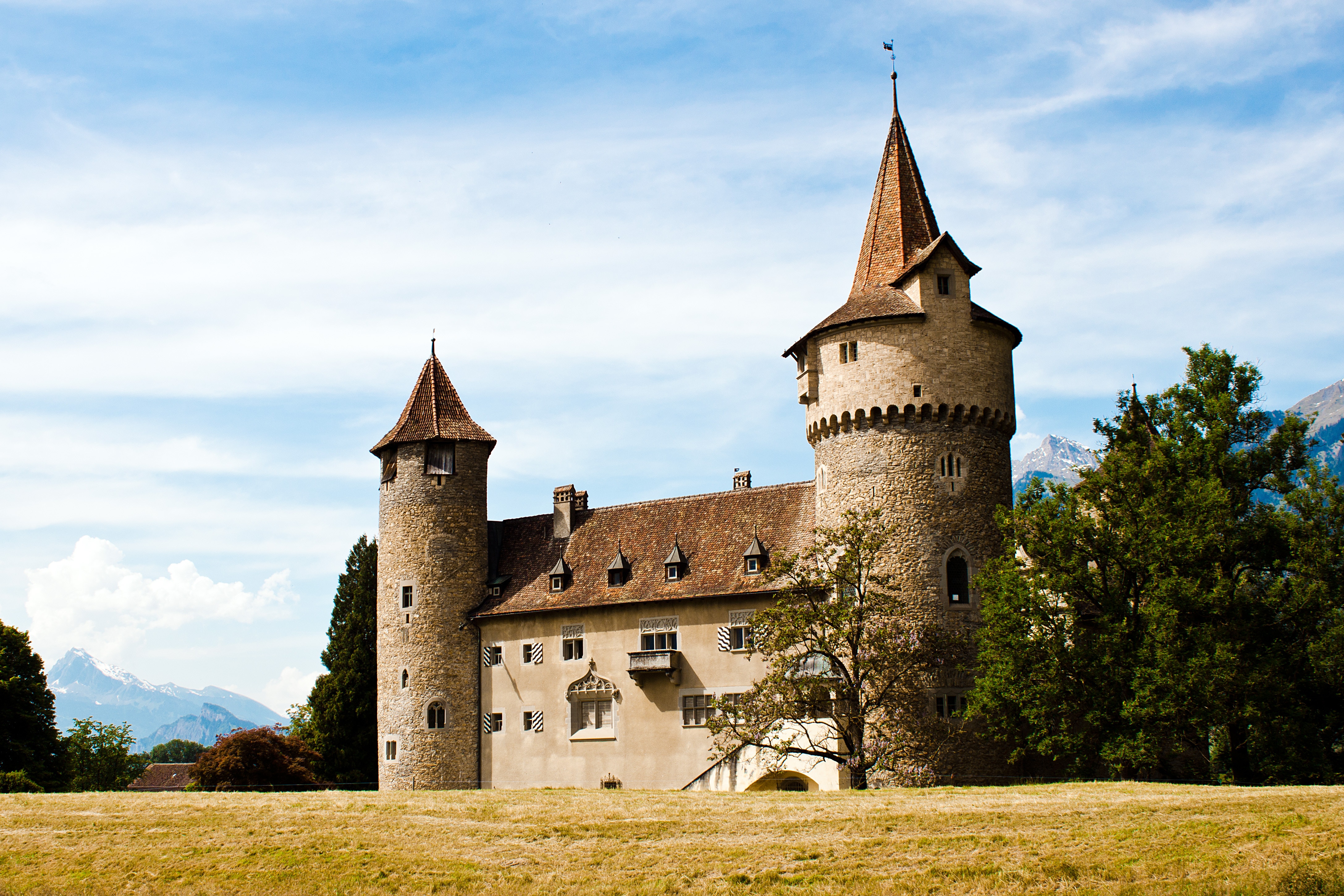 Castle with towers and conical roofs in a field HD Wallpaper