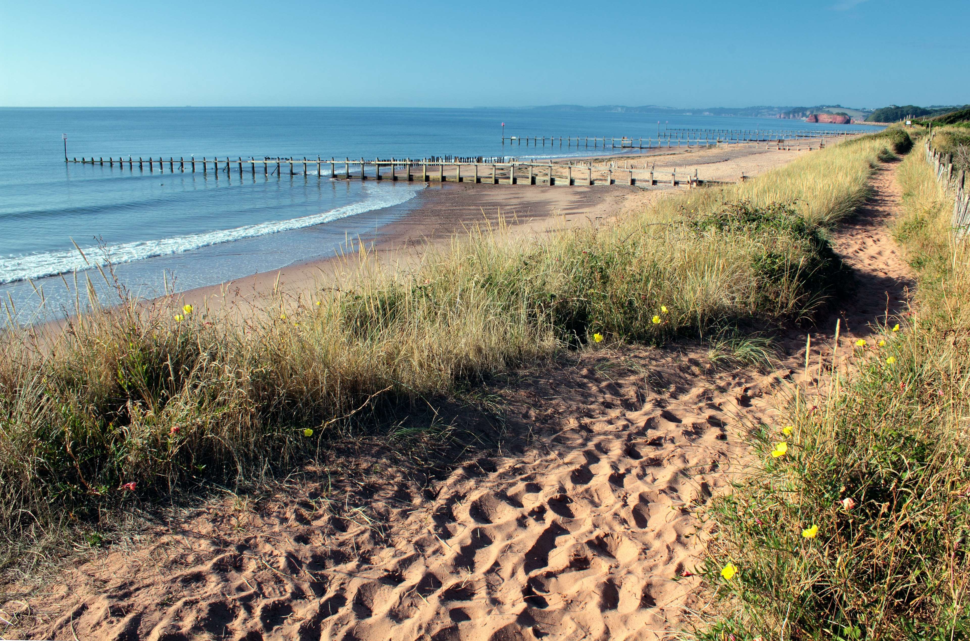 Beach with wooden groynes and sandy path HD Wallpaper
