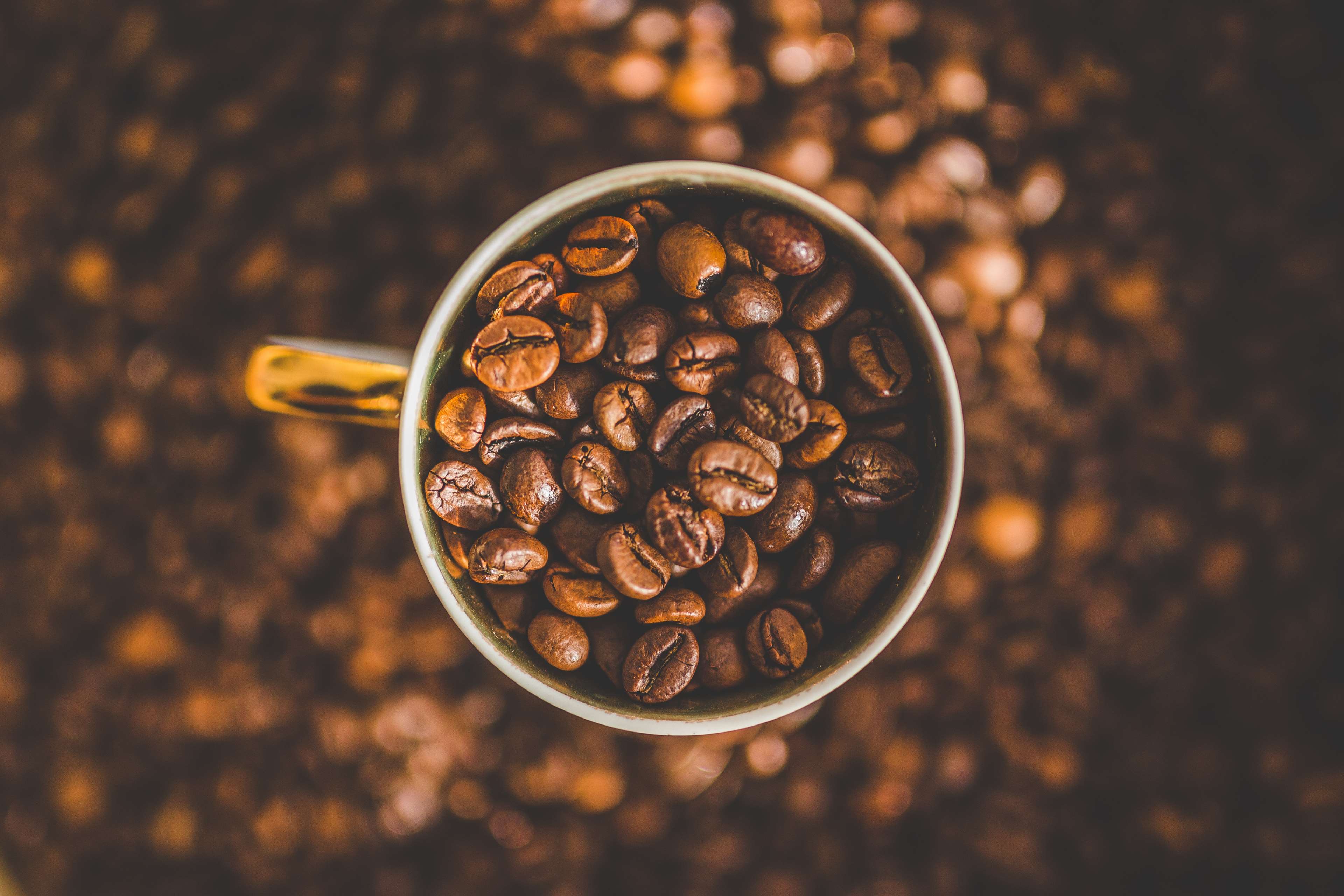 Cup of coffee beans, macro shot HD Wallpaper
