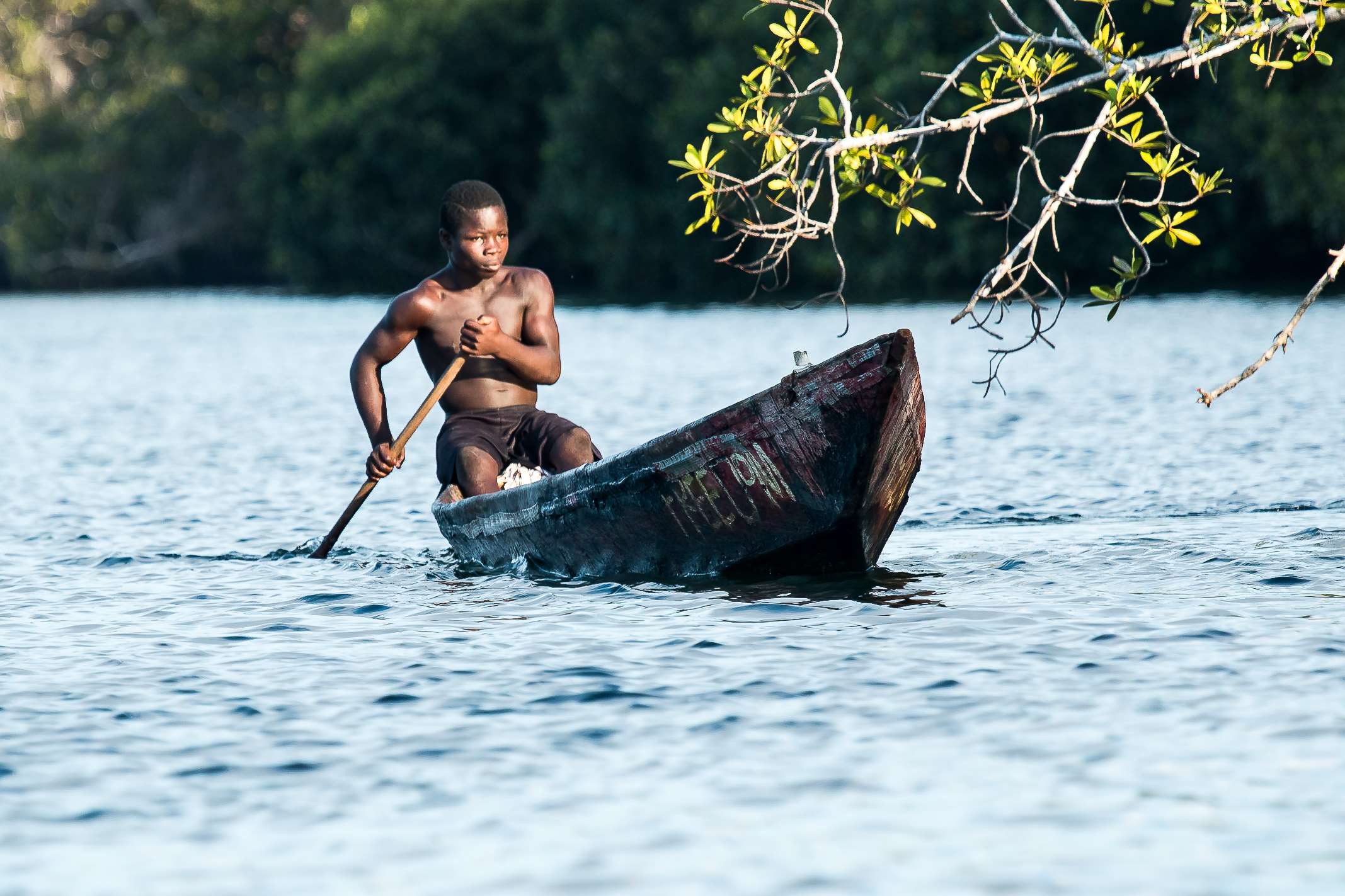 Man paddling a canoe on a lake HD Wallpaper