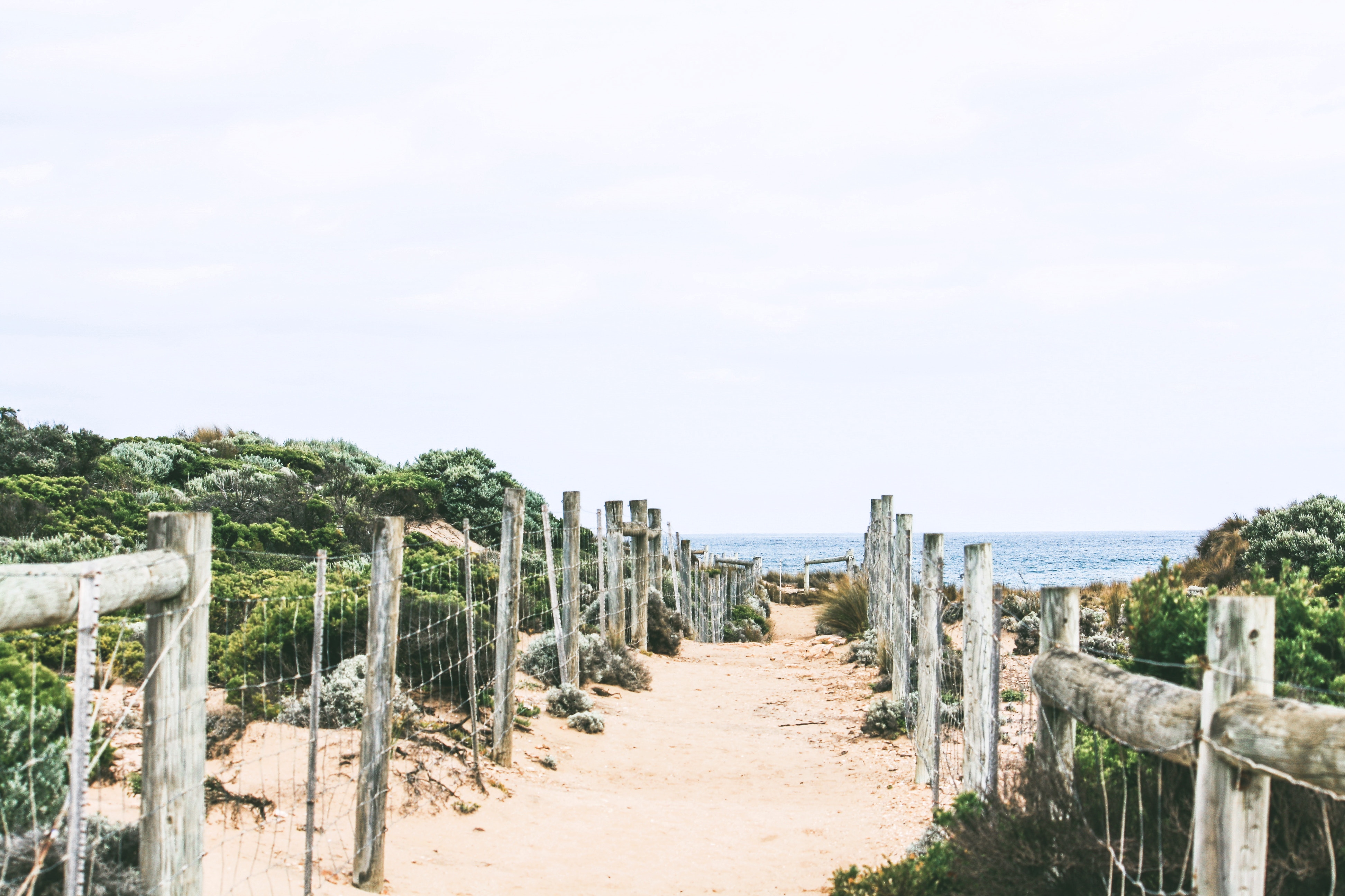 Sandy path through coastal dunes to the ocean HD Wallpaper