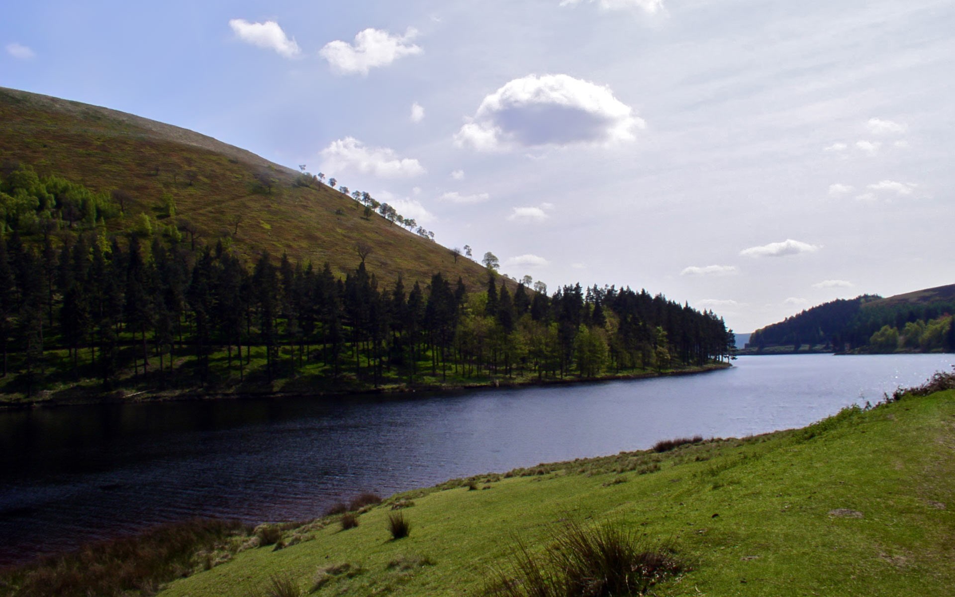 Reservoir surrounded by trees and hills under a cloudy sky HD Wallpaper