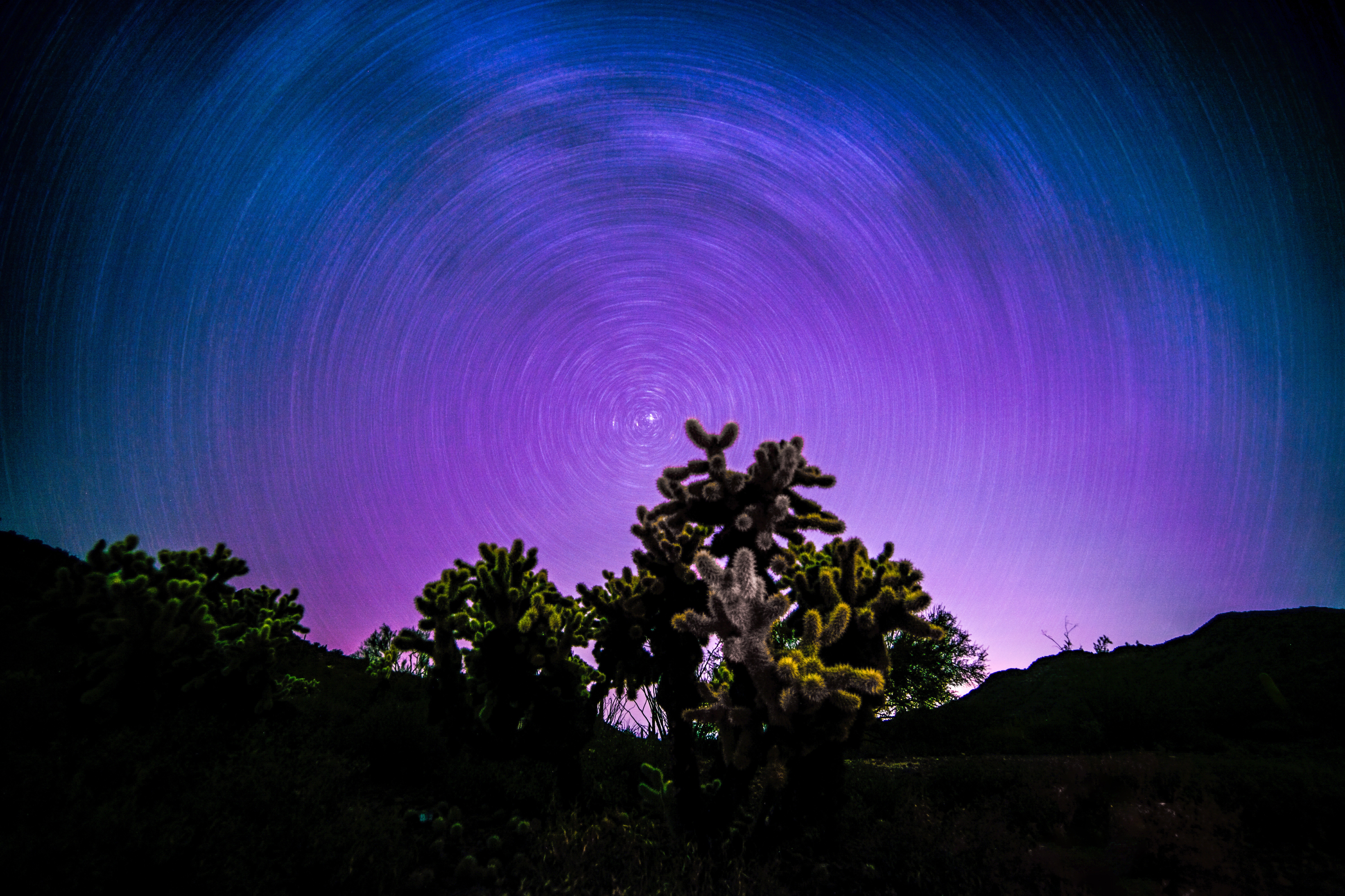Star trail over Arizona desert with cacti HD Wallpaper