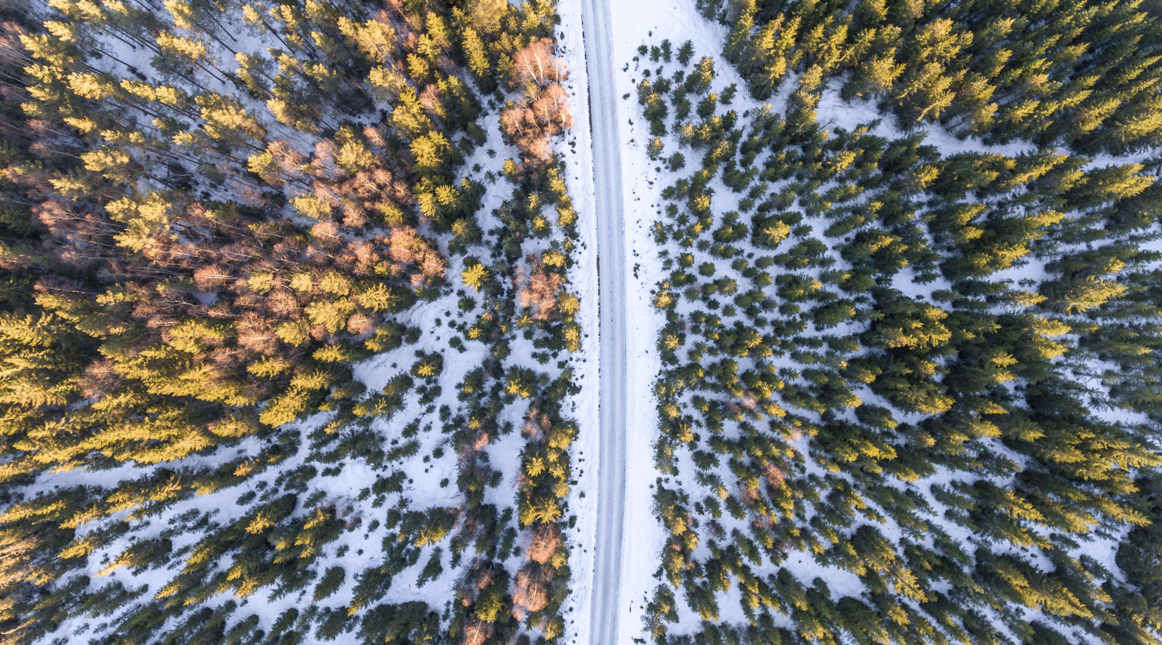 Aerial view of a snow-covered forest with a road HD Wallpaper