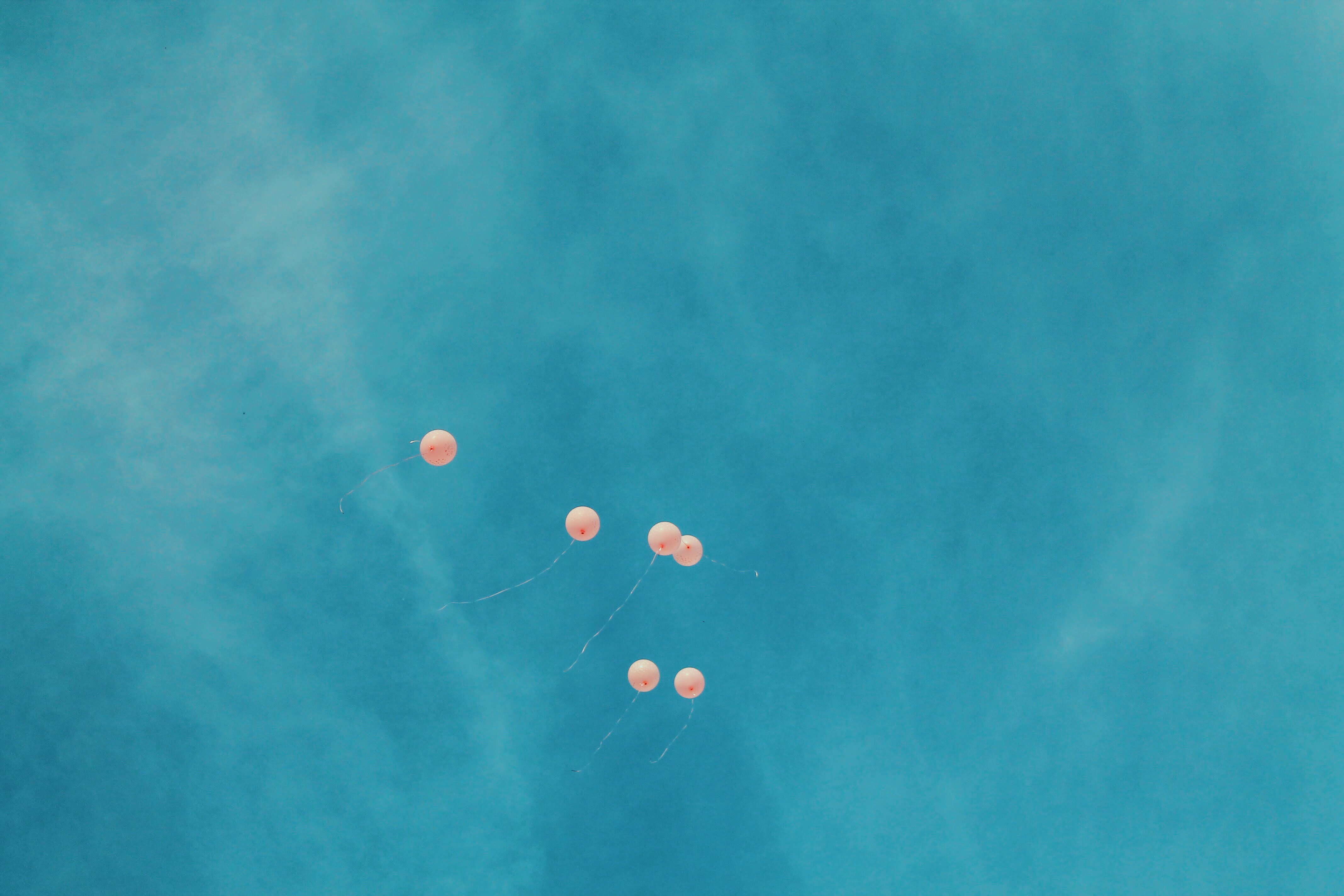 Pink balloons floating in a blue sky HD Wallpaper