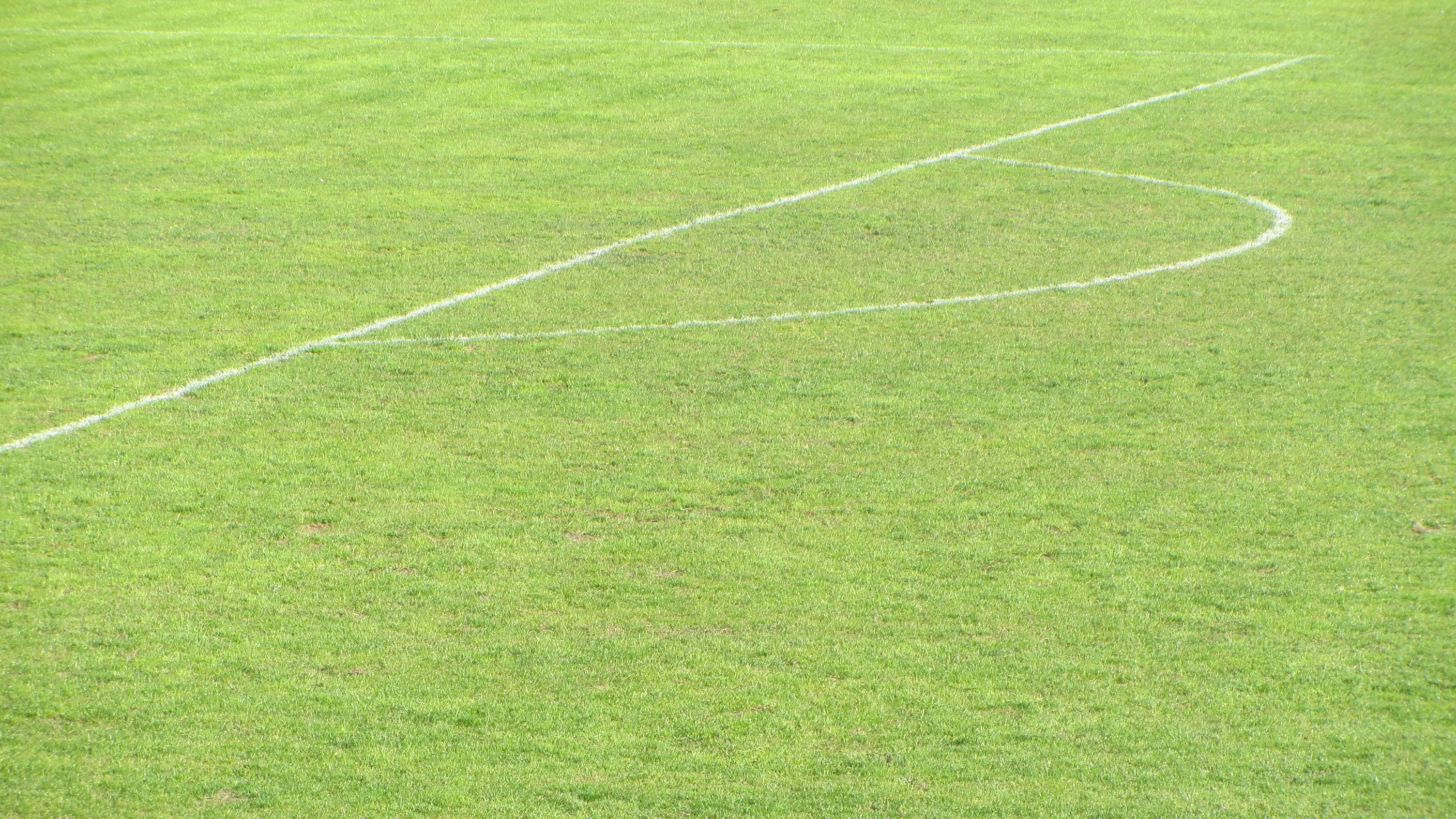 Green grass field with white lines HD Wallpaper