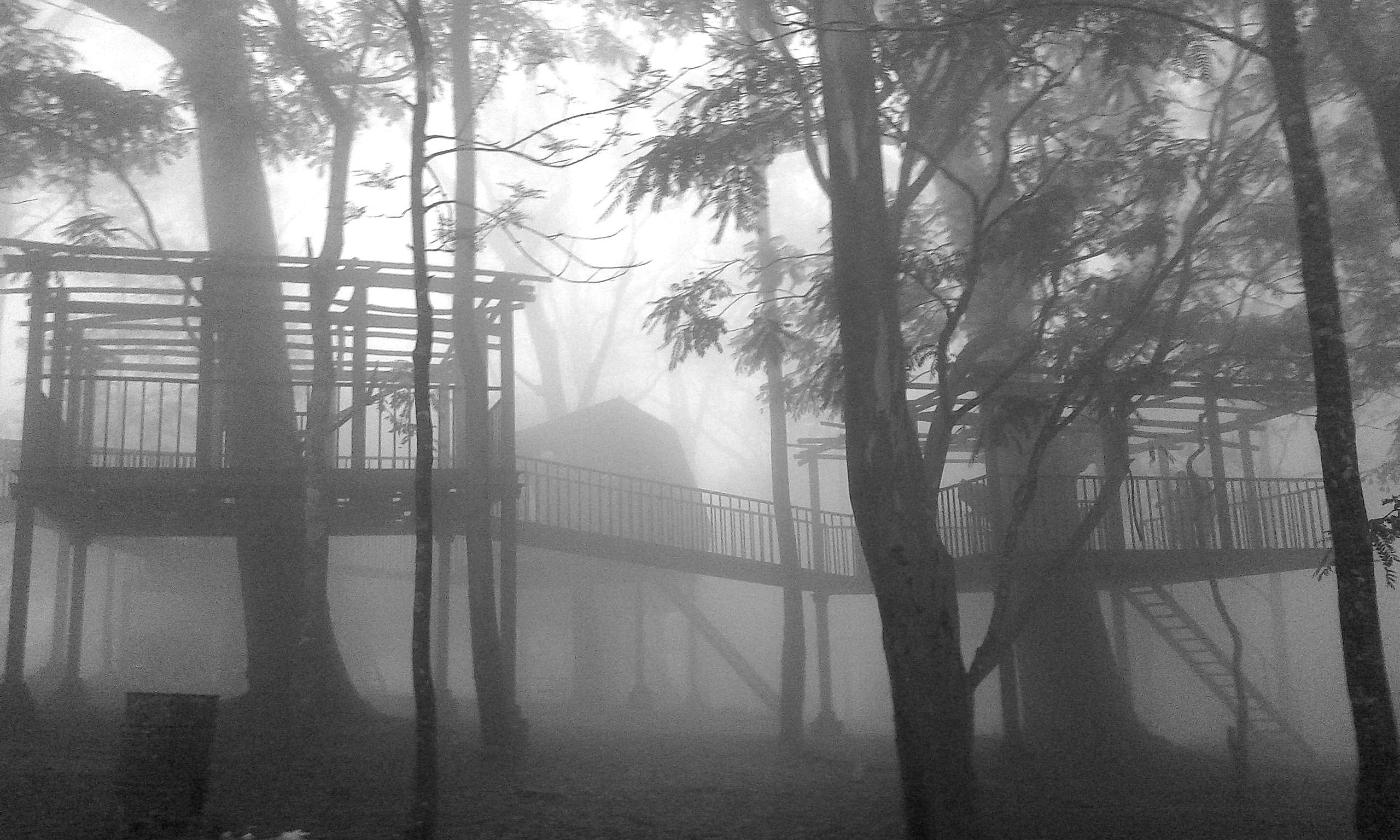 Foggy tree house with wooden walkways HD Wallpaper