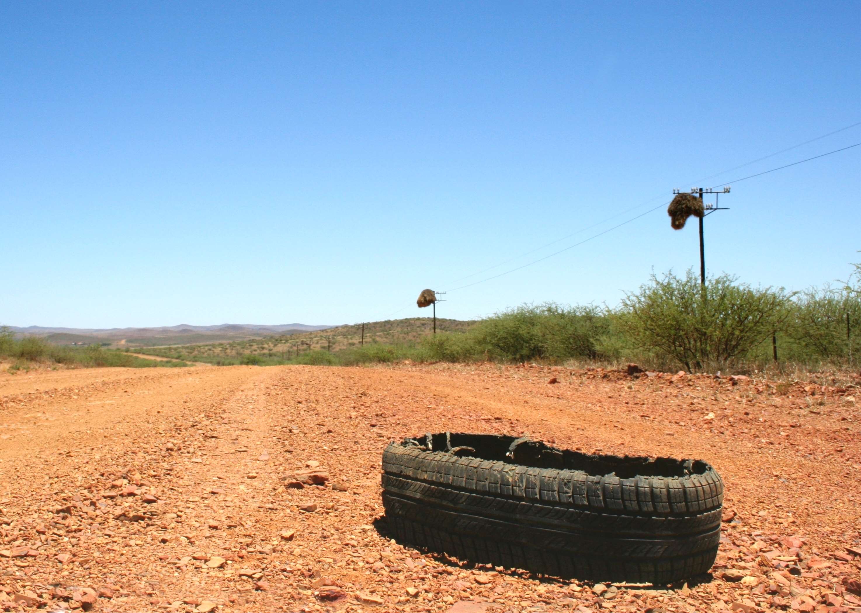 Tire on a dirt road with bird nests in South Africa HD Wallpaper