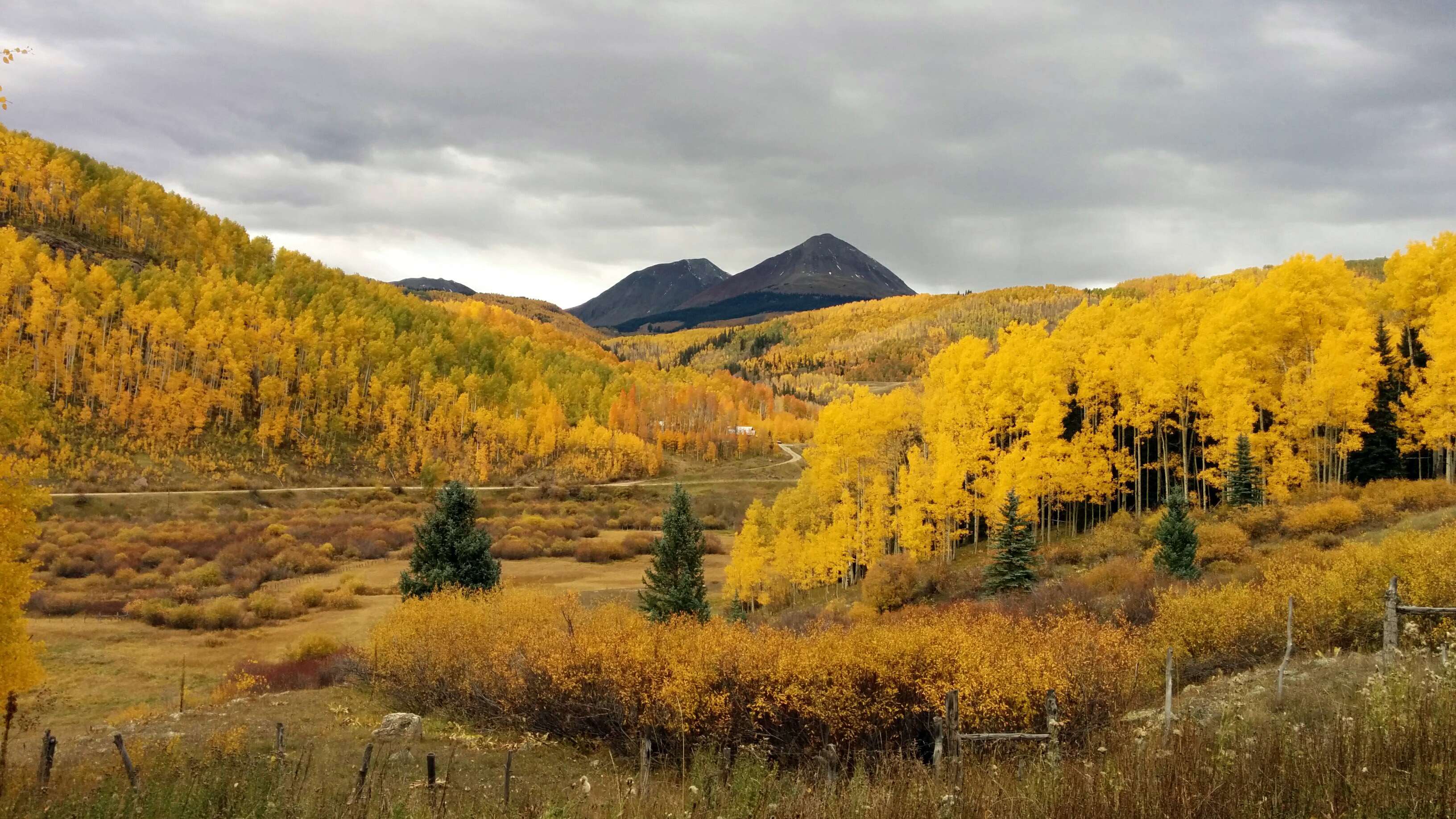Autumn mountains with yellow aspen trees HD Wallpaper