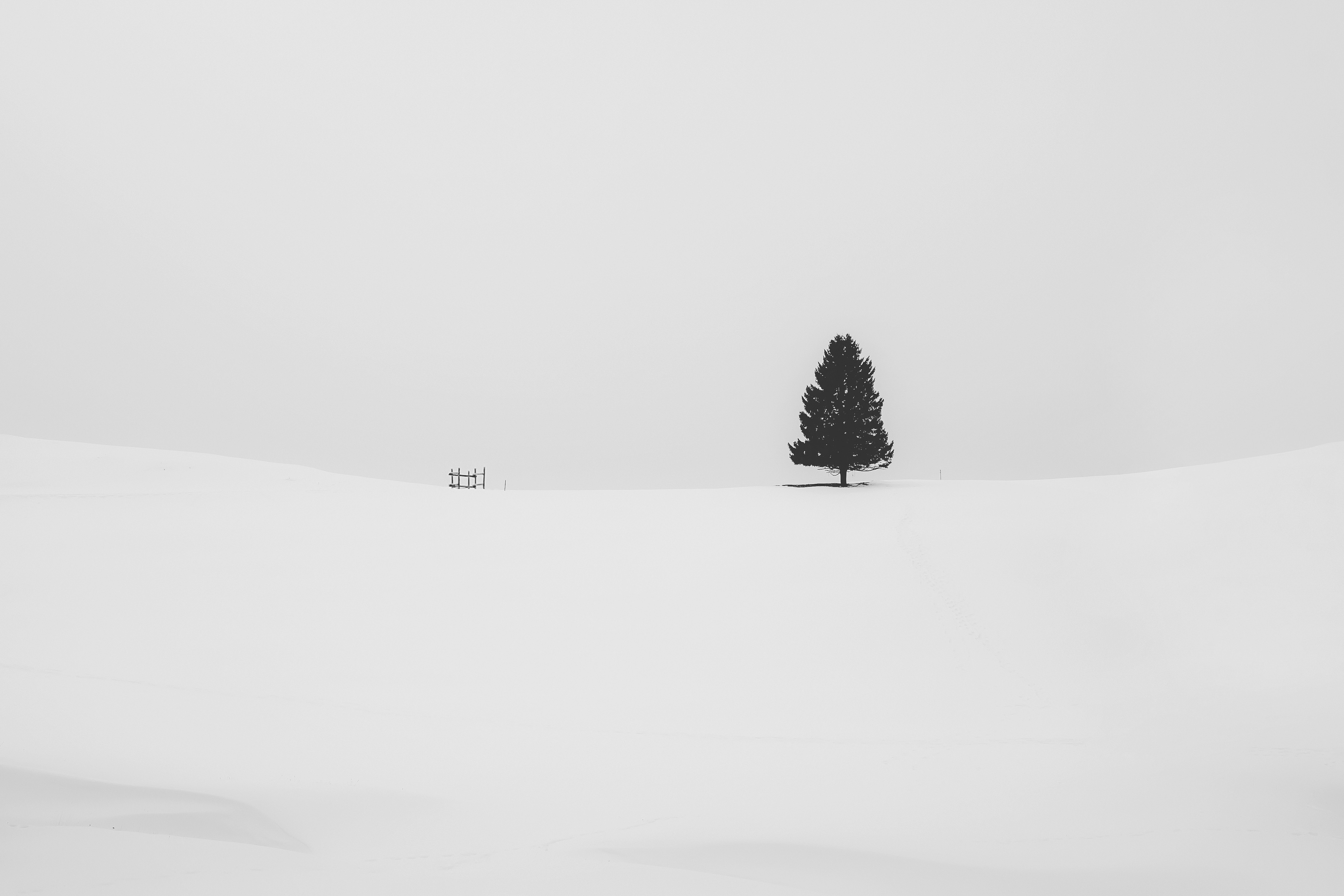 Minimalist winter landscape with a lone tree and fence HD Wallpaper