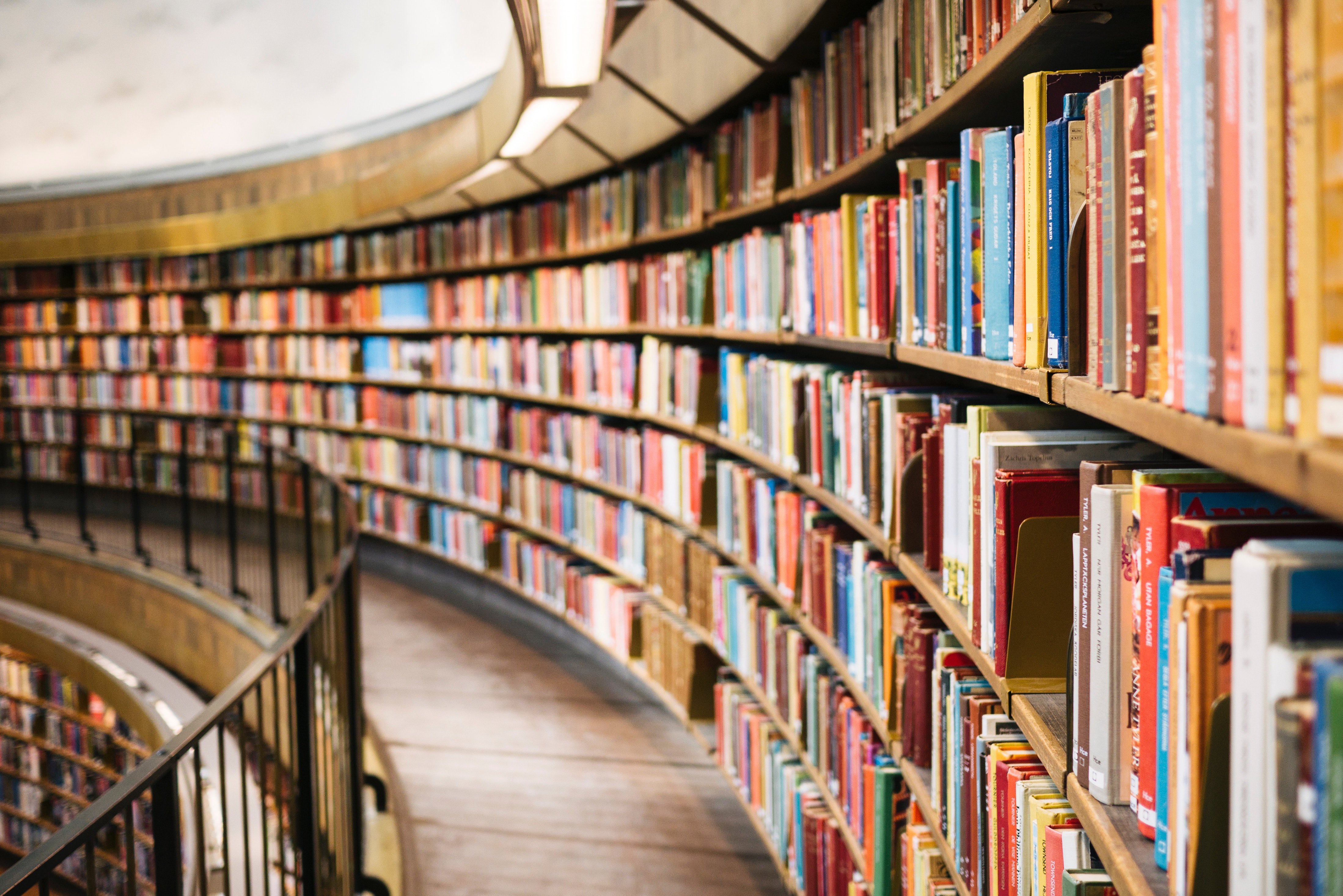 Curving Library Shelves Filled with Books HD Wallpaper