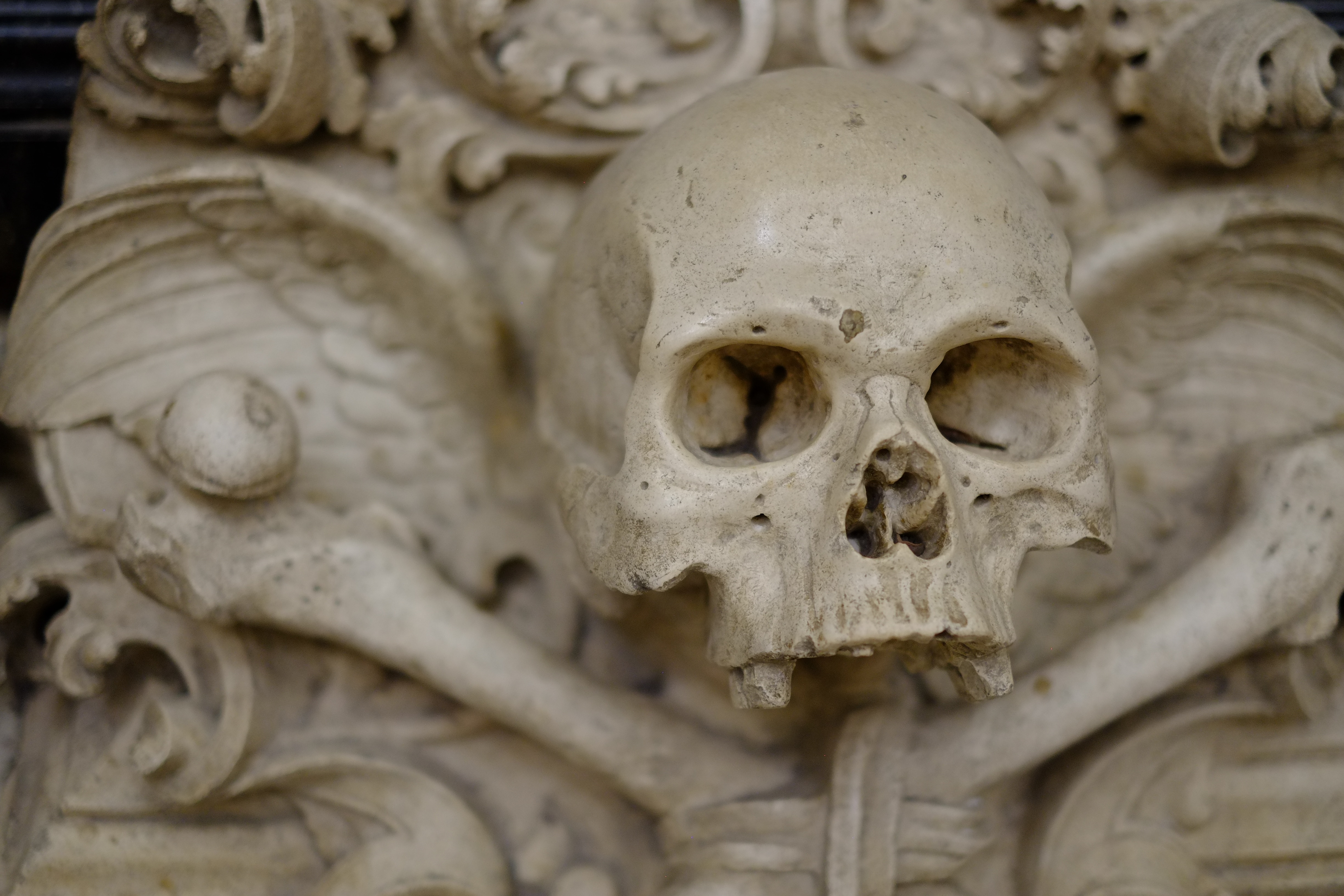 Stone Sculpture of a Skull in Mezquitum, Cordoba, Spain HD Wallpaper