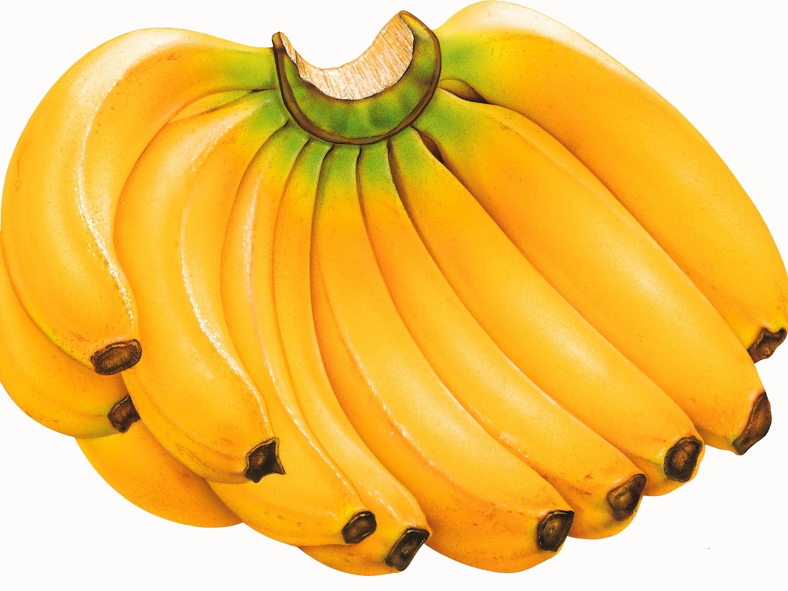 A cluster of ripe yellow bananas HD Wallpaper