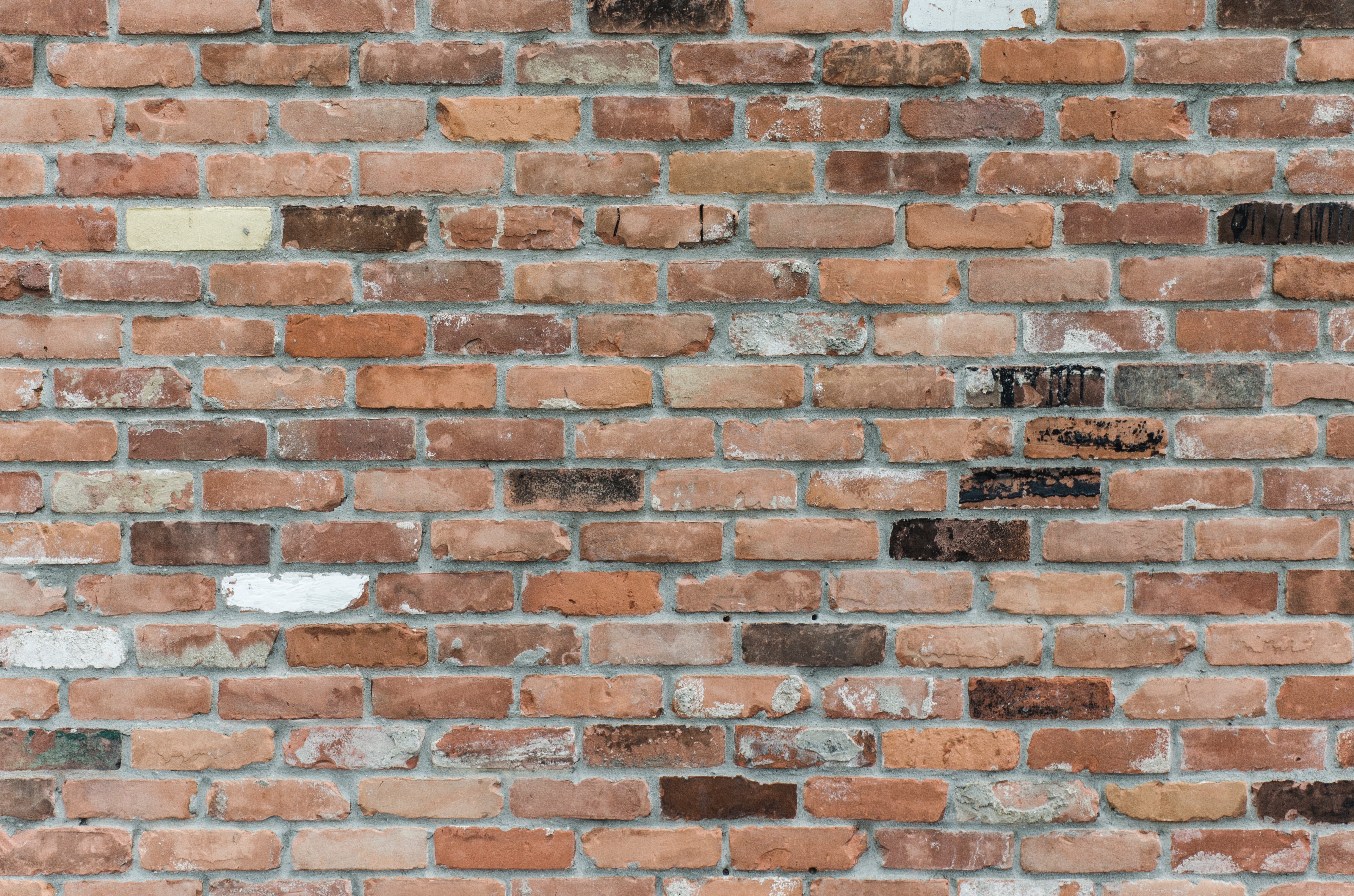 Brick wall texture HD Wallpaper