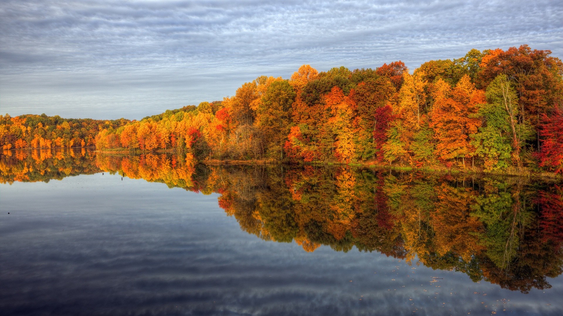 Autumn trees reflected in a lake HD Wallpaper