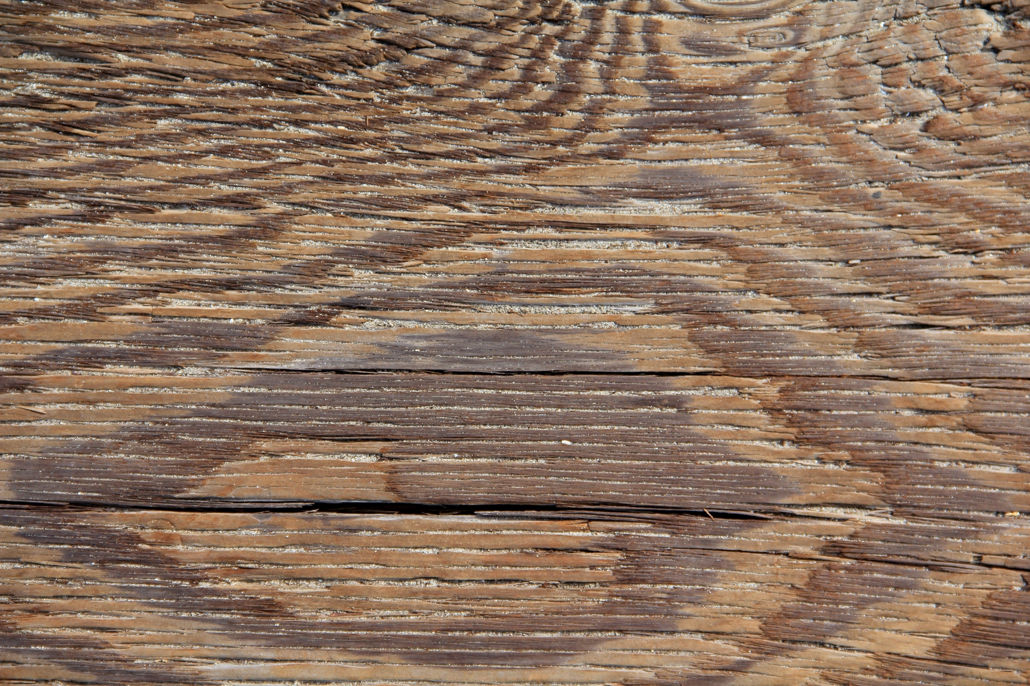 Close-up of weathered wood grain HD Wallpaper