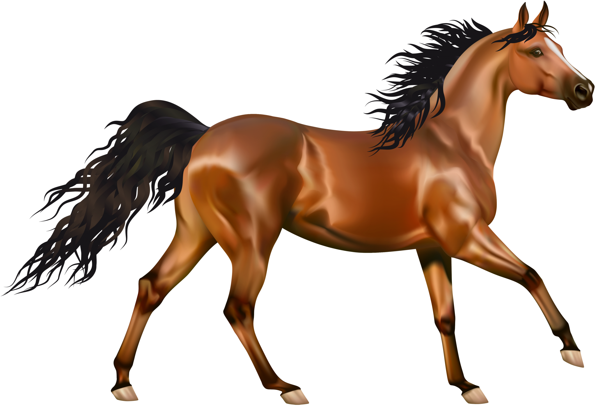 Brown horse with black mane and tail running HD Wallpaper