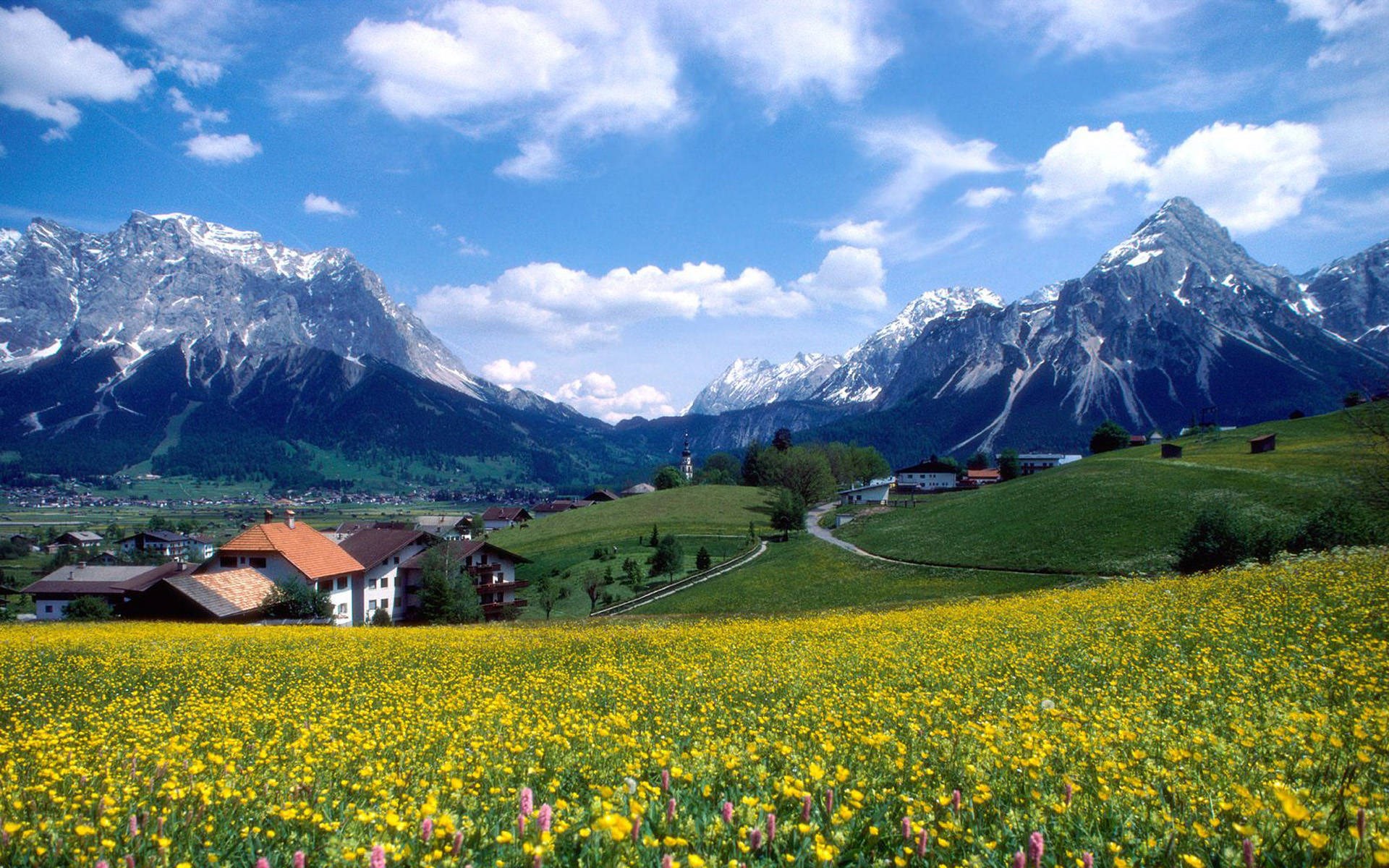 Alpine village with wildflower meadow and snow-capped mountains HD Wallpaper
