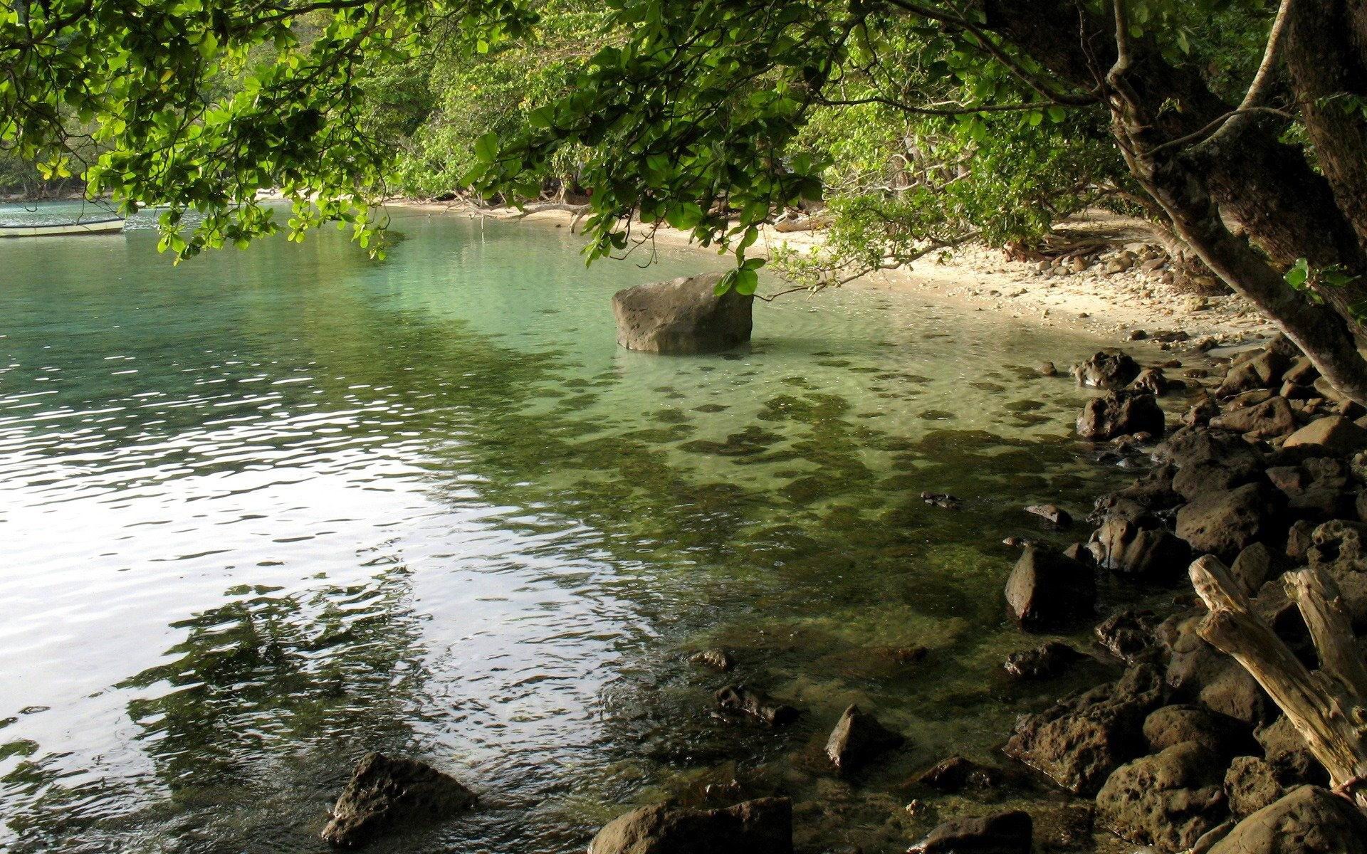 Tropical beach with clear water and trees HD Wallpaper