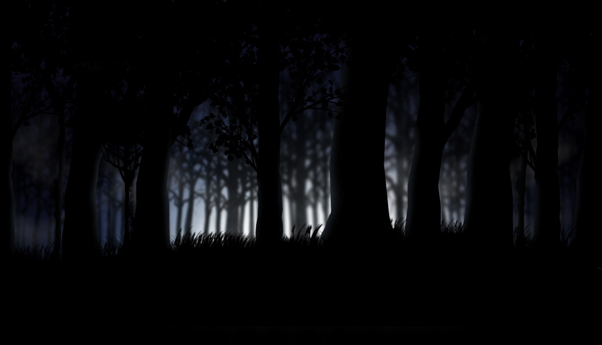 Dark forest at night with grass HD Wallpaper