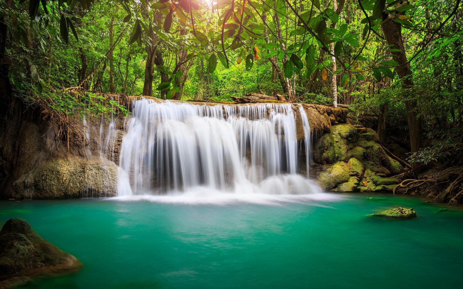 Waterfall in a lush green forest HD Wallpaper
