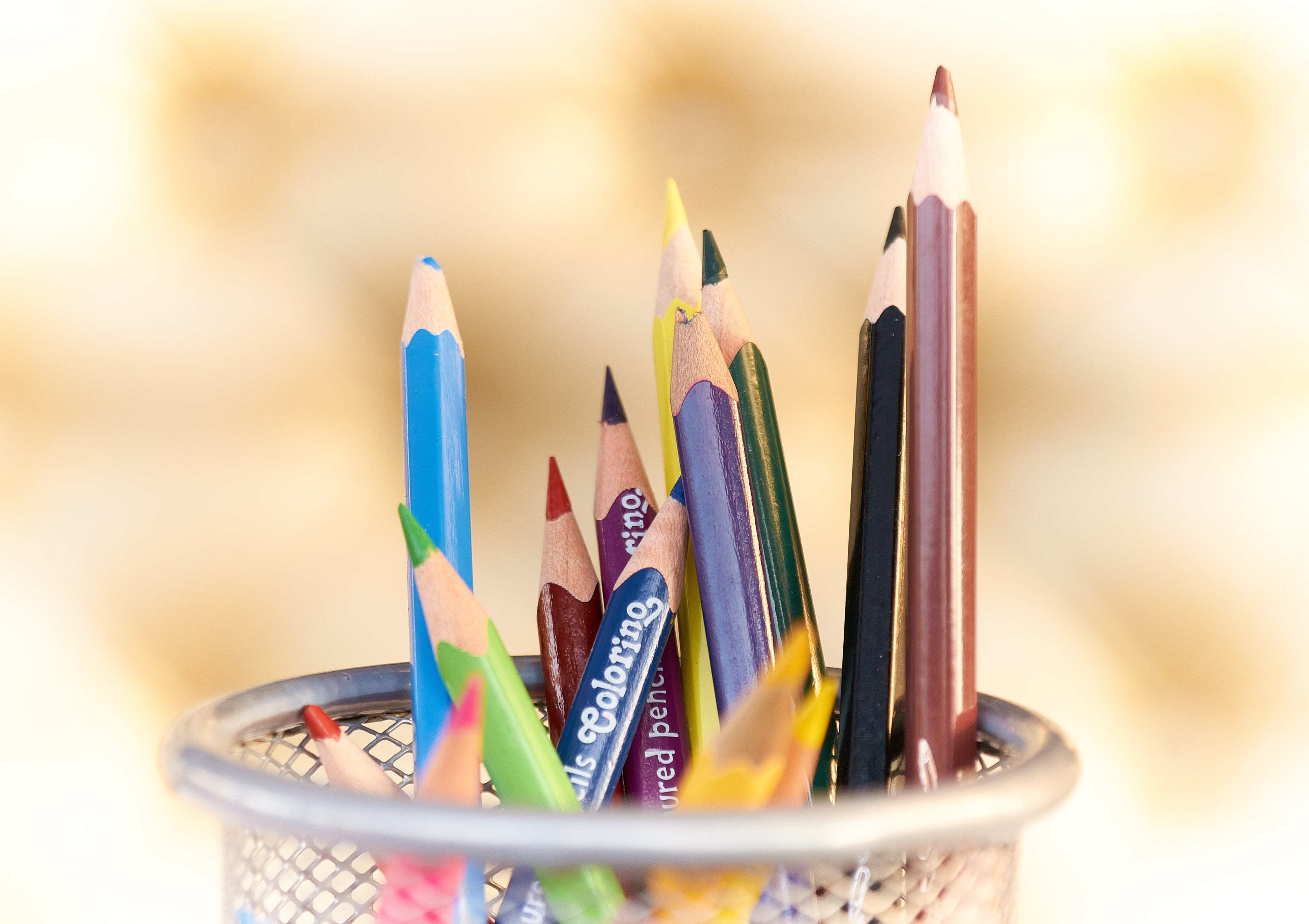 Colored pencils in a metal pot HD Wallpaper