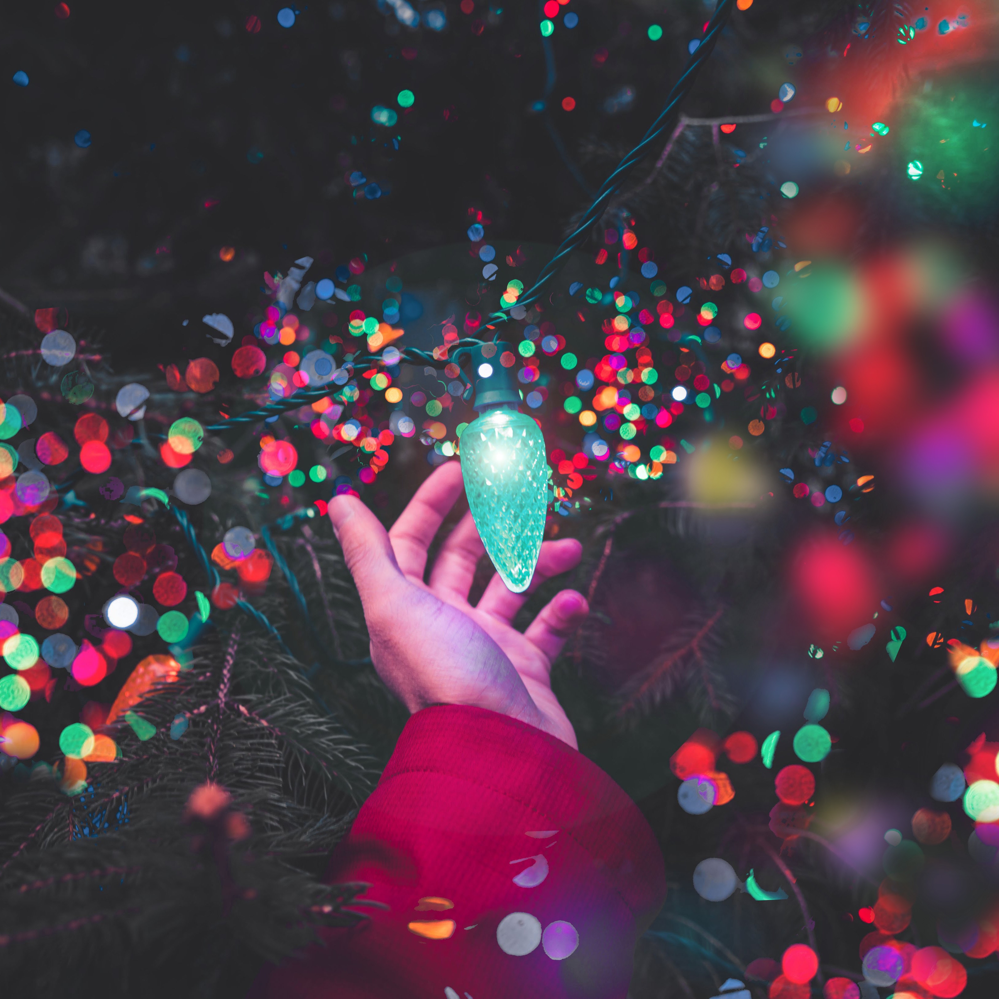 Hand reaching for a glowing Christmas light bulb HD Wallpaper